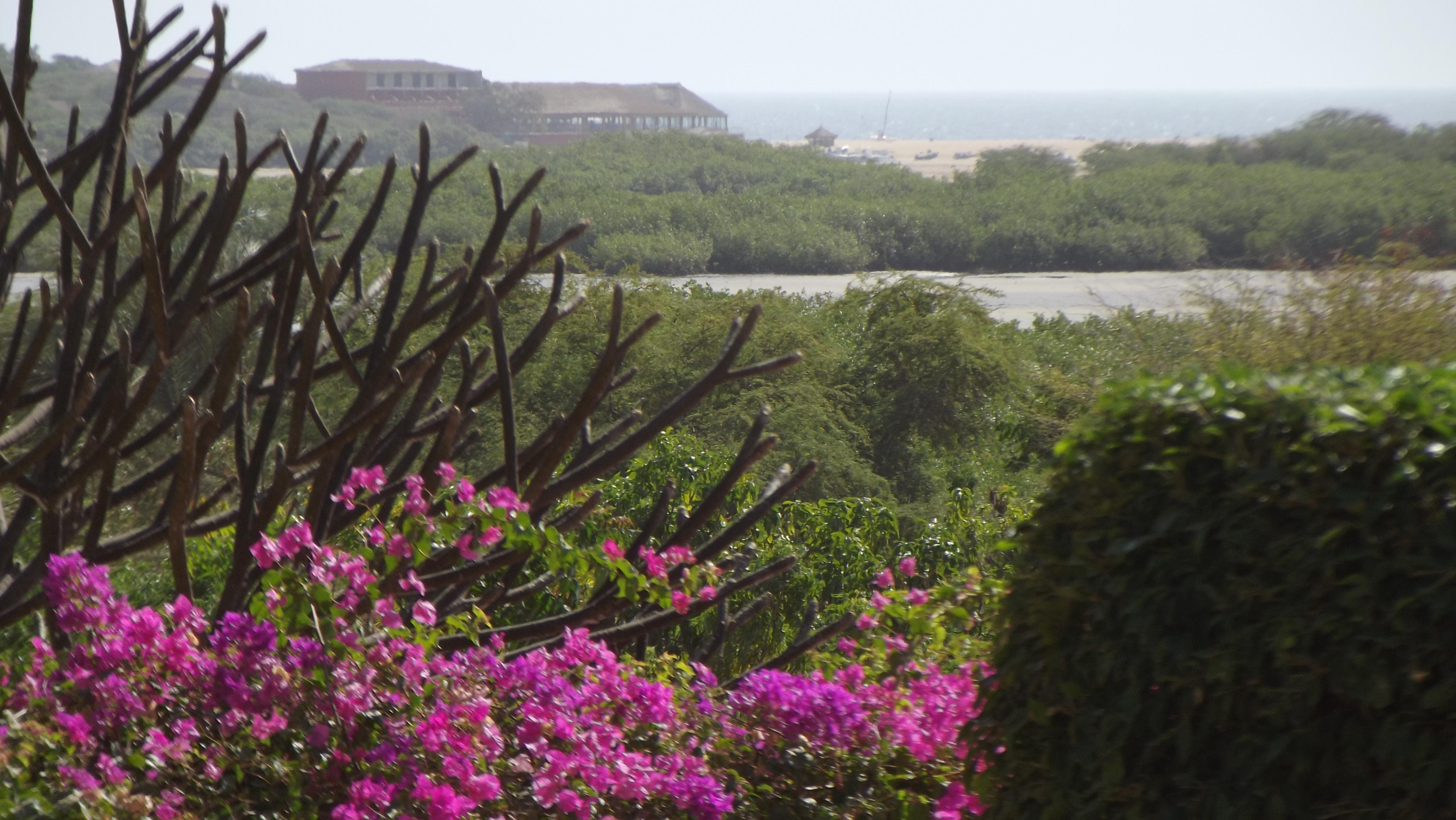 La playa de Somone, por Josy Souris