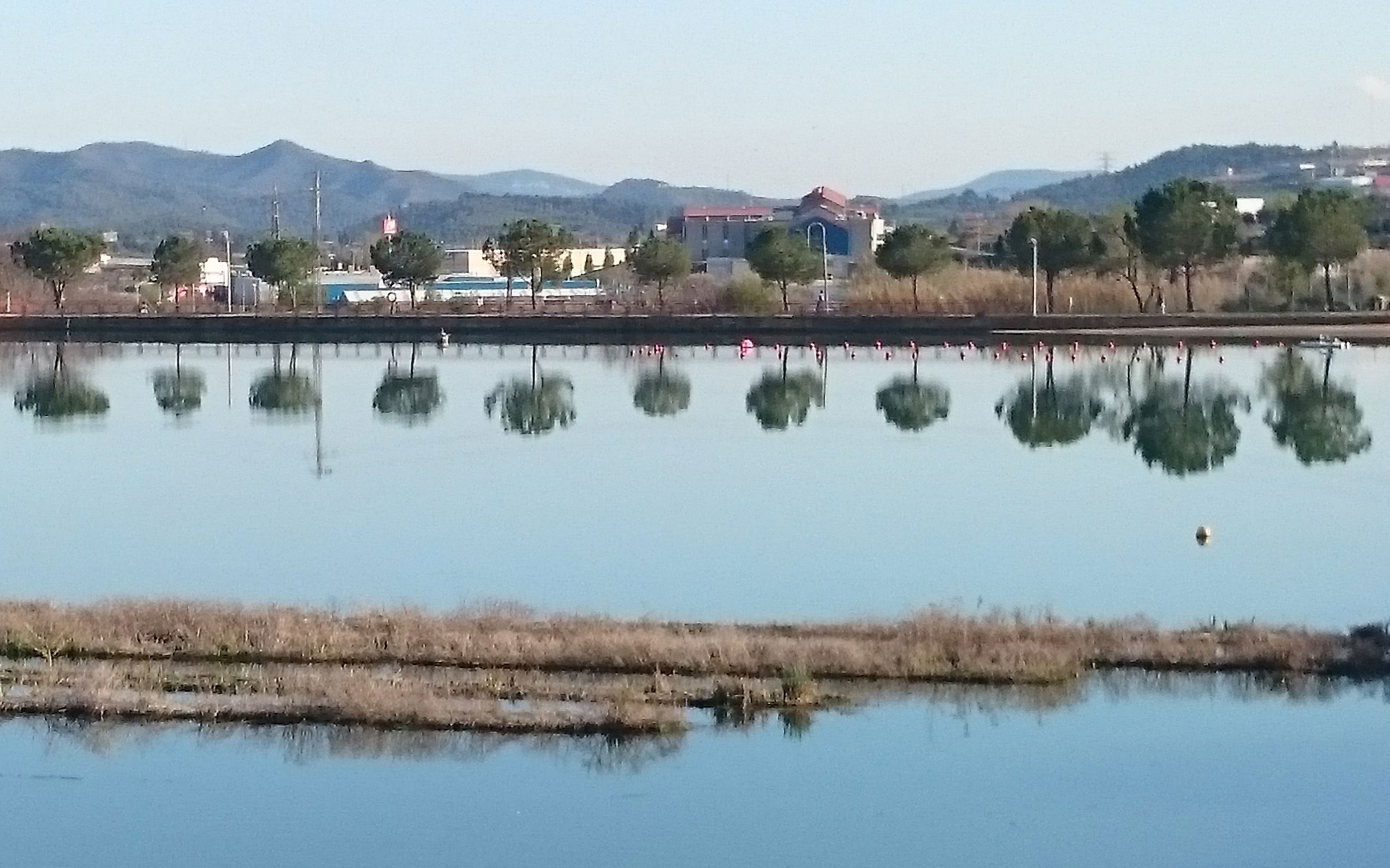 Parc de l'Agulla, por sergilopez
