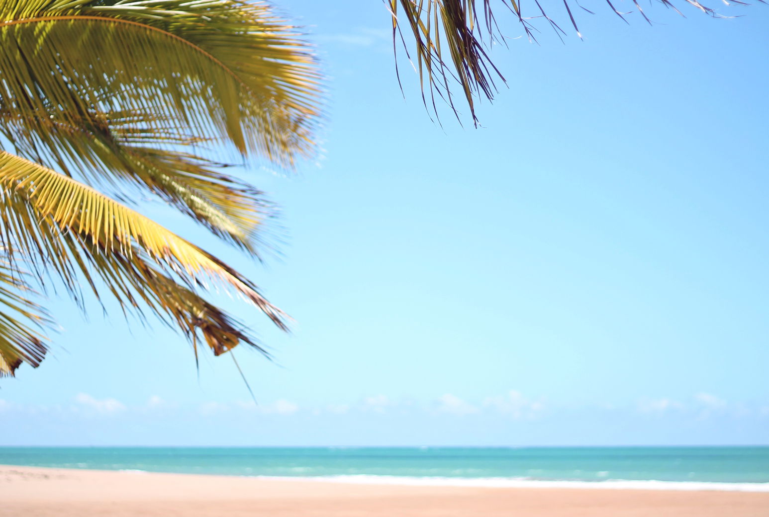 Praia de Maceió, por Bárbara Carvalho Caetano