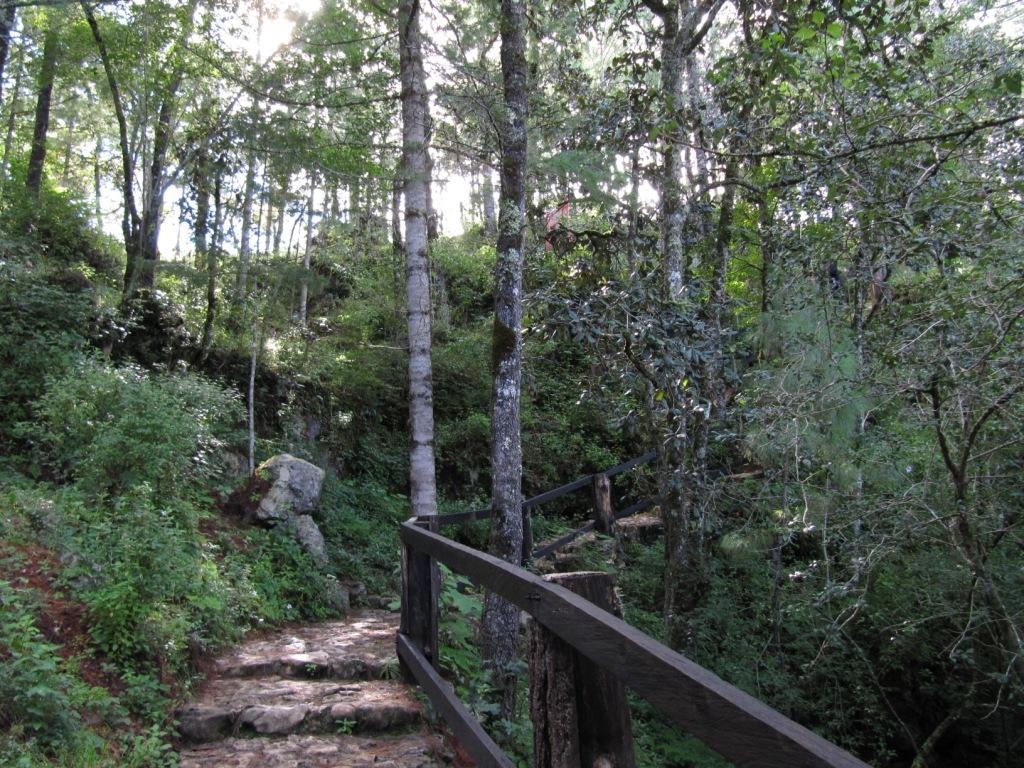 Parque Ecoturístico El Arcotete, por Lala