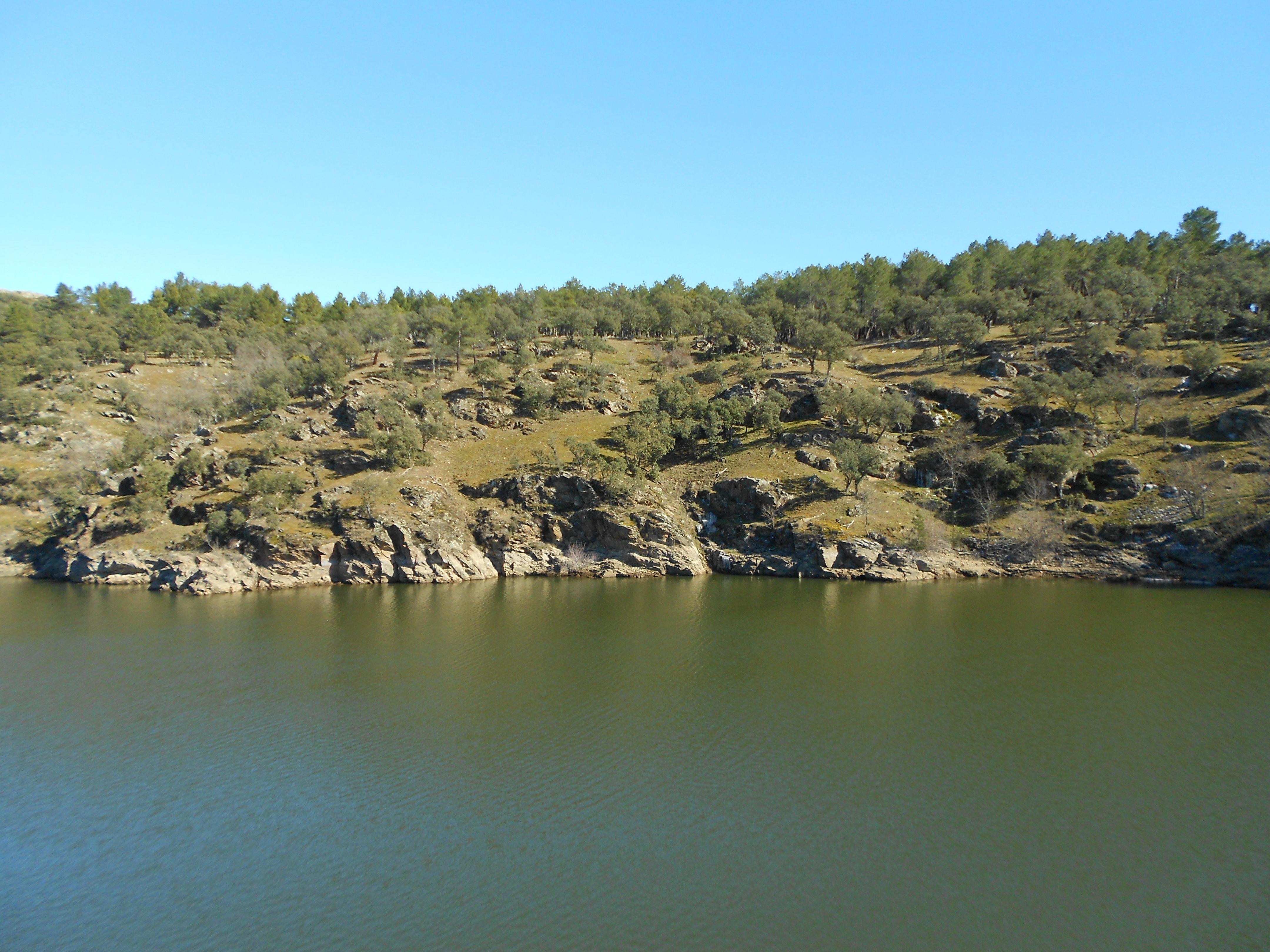 Ríos en Madrid, un refrescante viaje por la naturaleza urbana