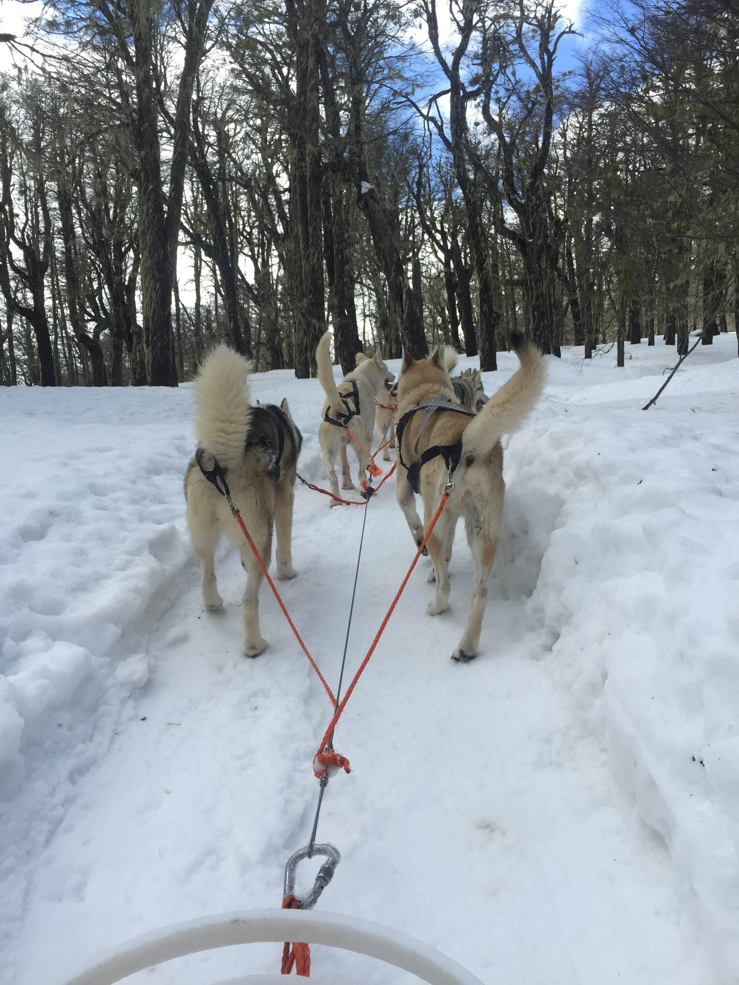 Cerro Chapelco, por Cristiana Faria Brito Chaves