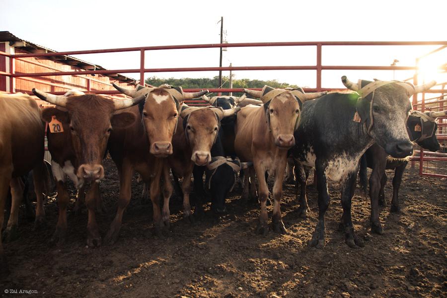 Crider's Rodeo & Dance Hall, por Zai Aragon