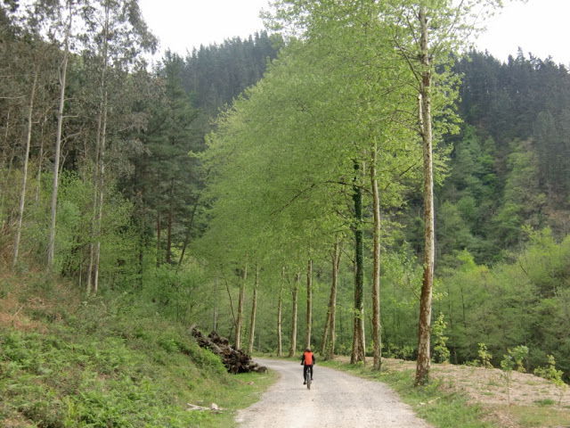 Via verde Plazaola-Leitzaran, por Amaia Rotxa