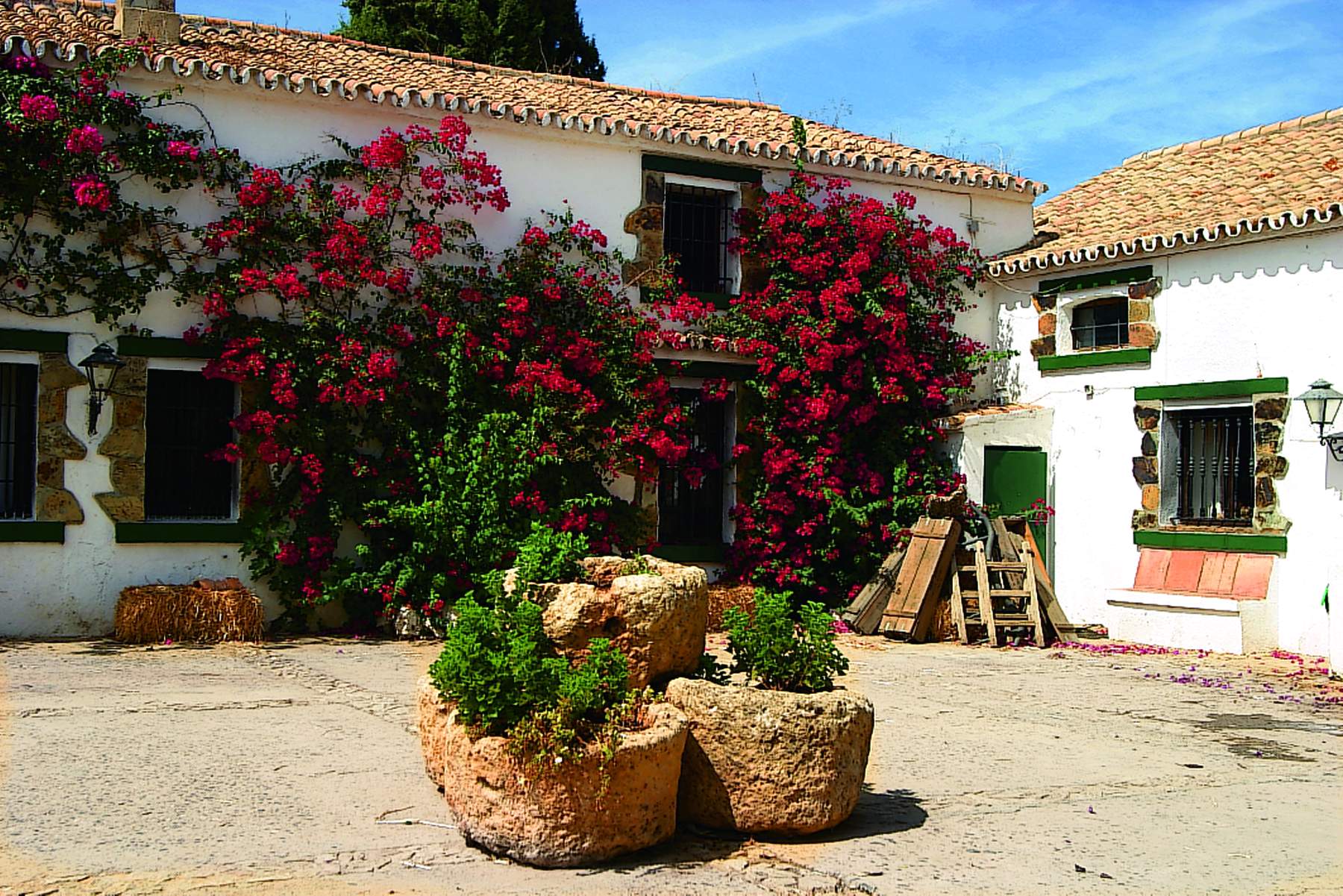 Dehesa La Calera, por Turismo de la Provincia de Sevilla