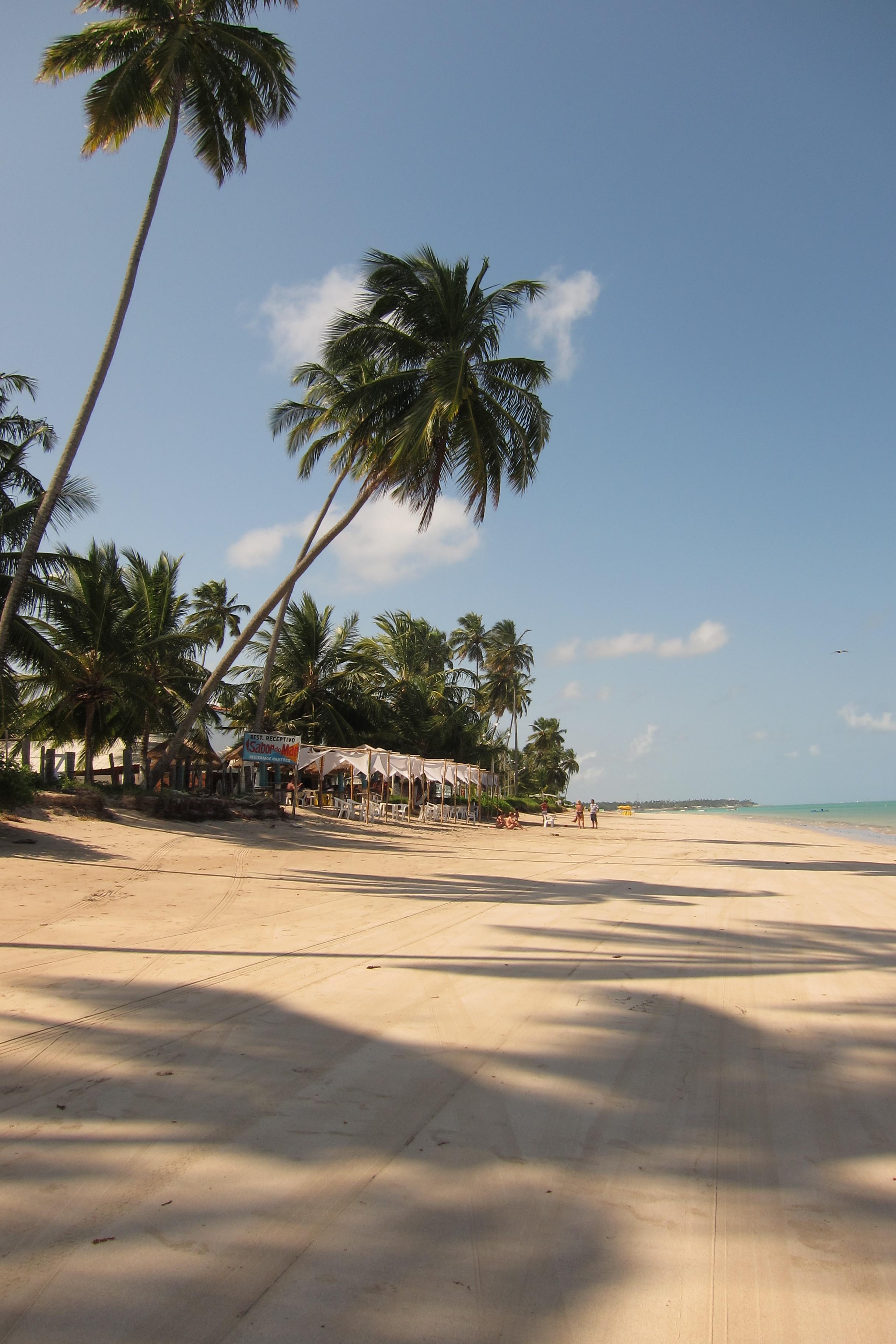 Praia Ponta De Mangue- Maragogi, por Jo Name