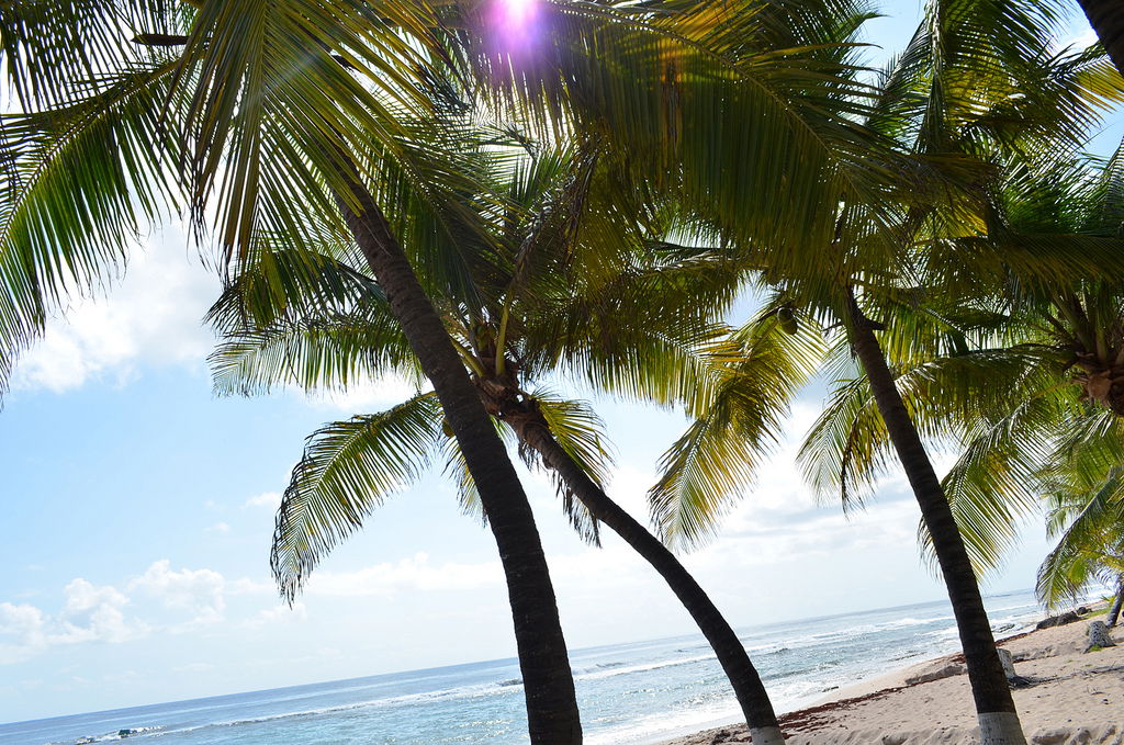 Playa Petite Rivière, por Guadeloupe Trotter