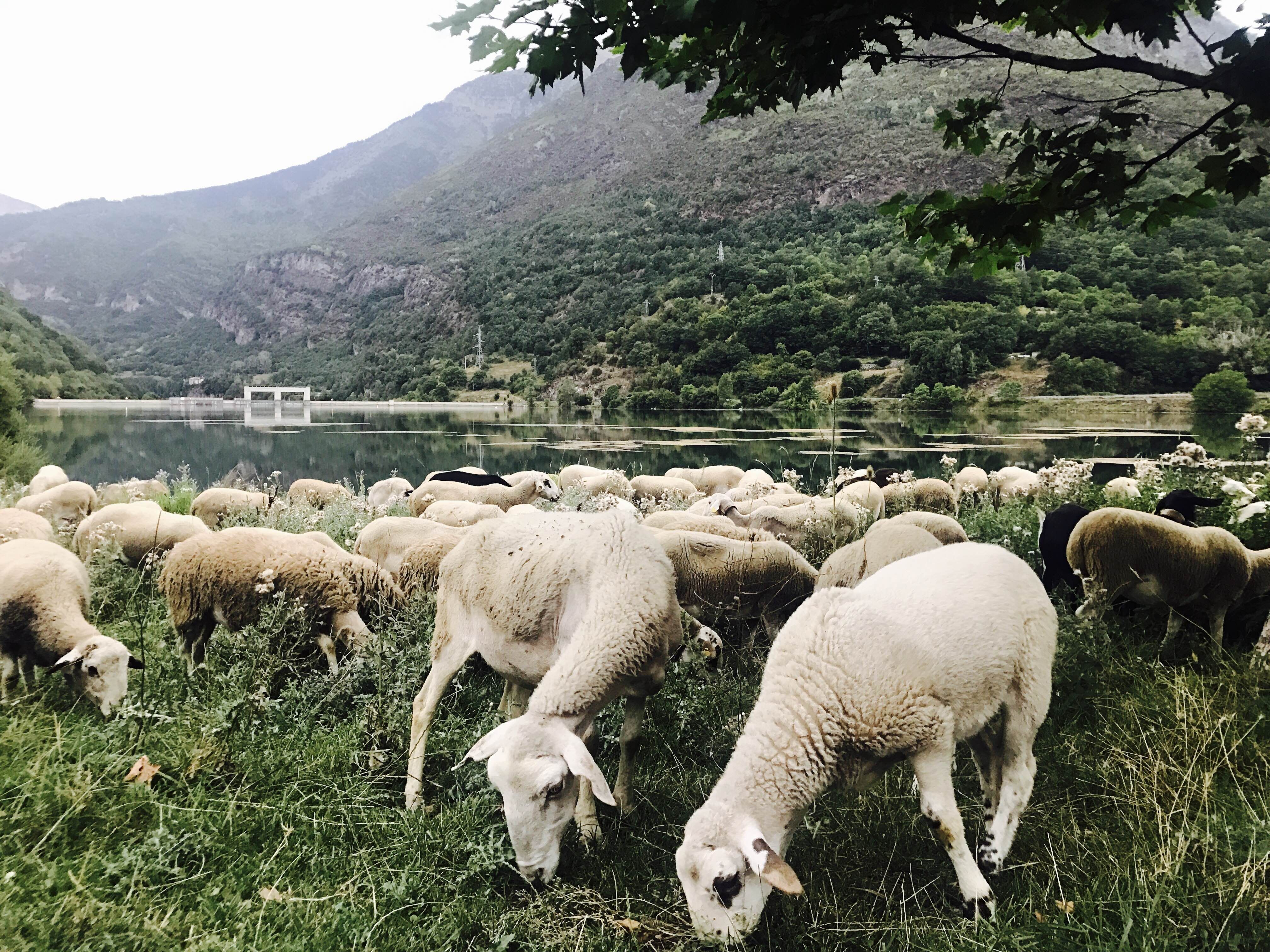 Descubre los encantos de los pantanos en Huesca para disfrutar de la naturaleza