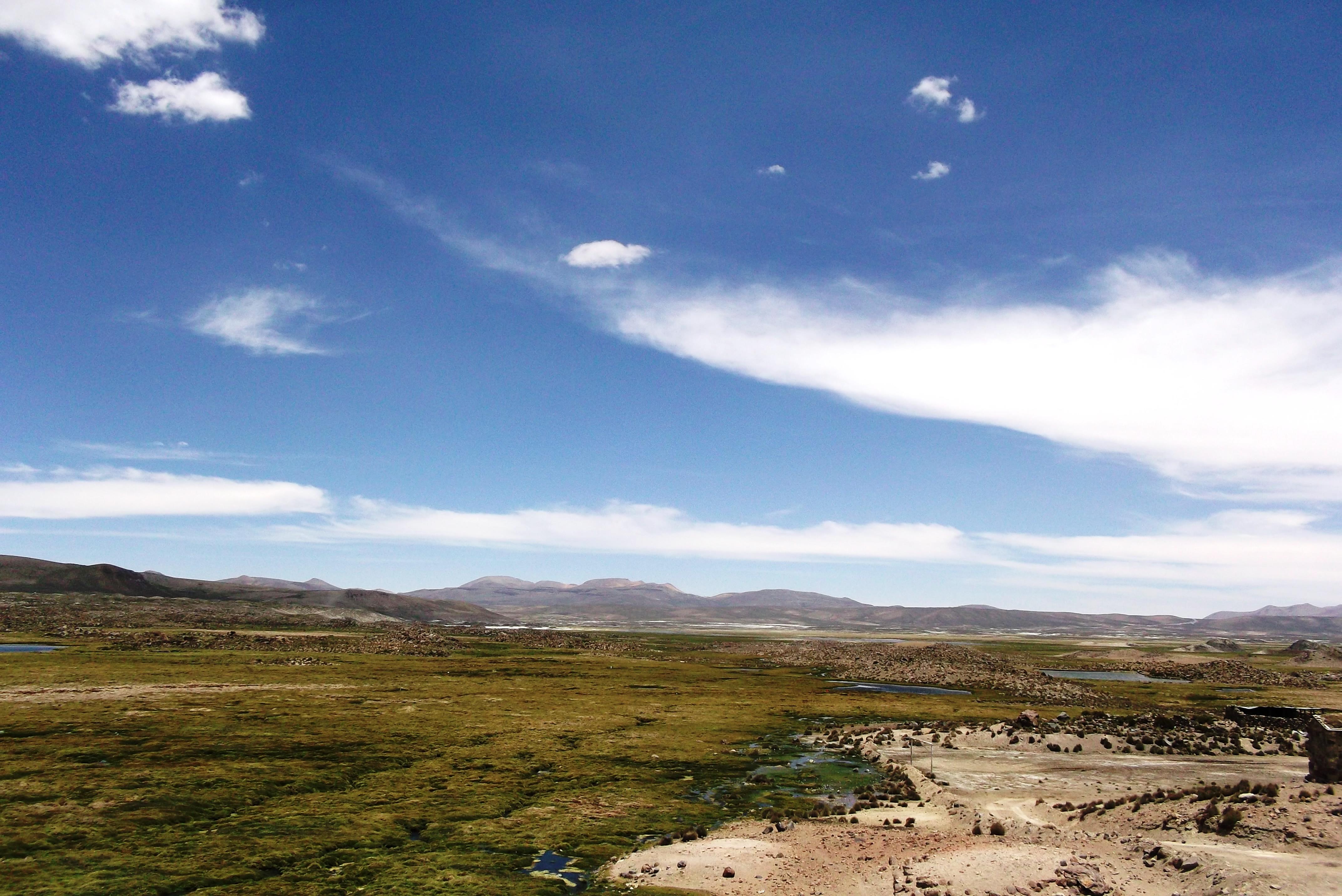 Bofedales de Parinacota, por Verónica Grünewald Condori