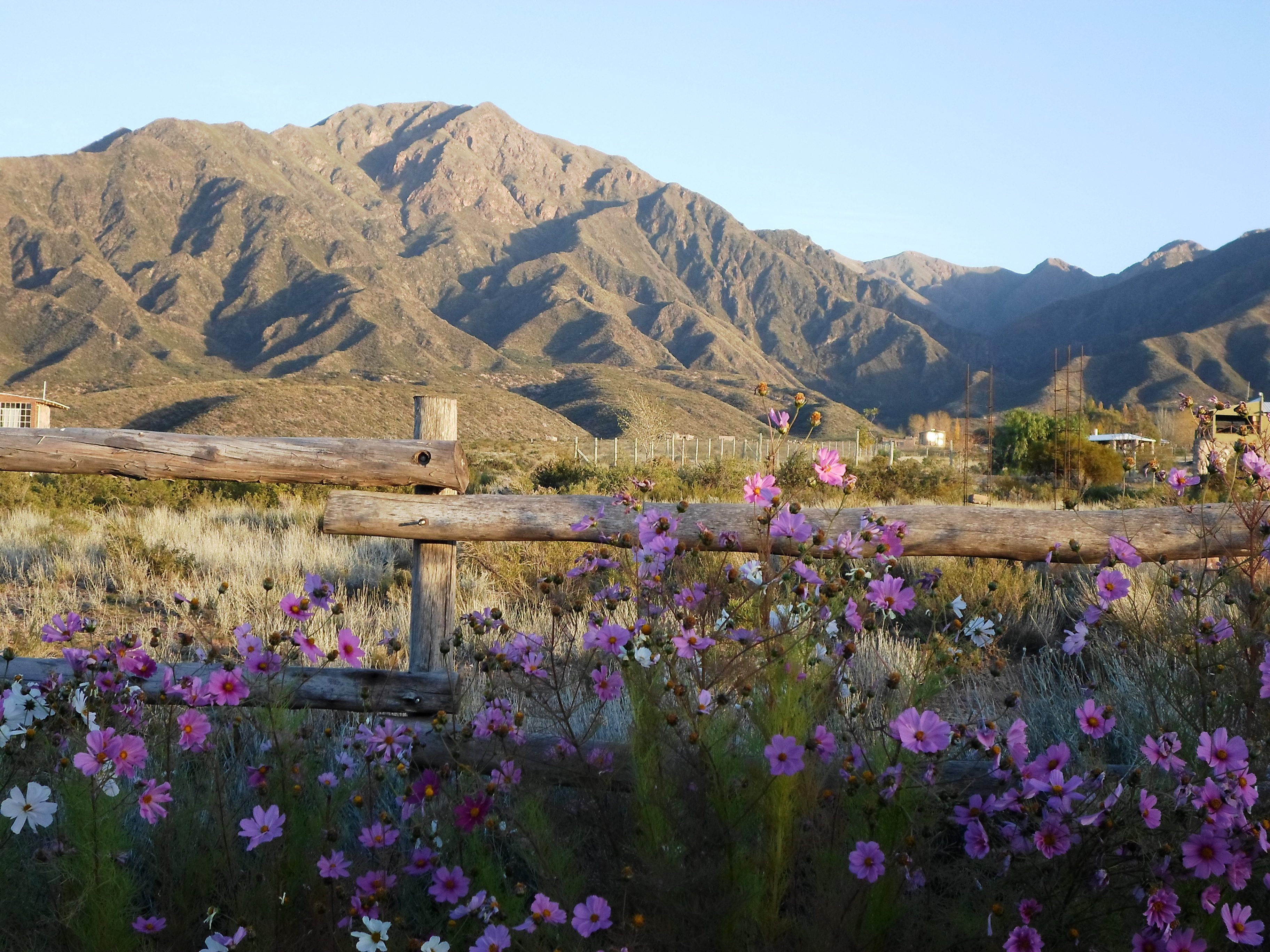 Precordillera, por Mary Paredes Cubas