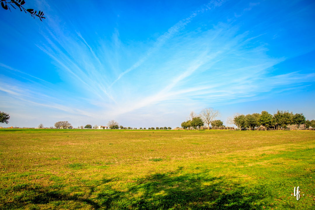 George Ranch Historical Park, por Luccianna Ferreira