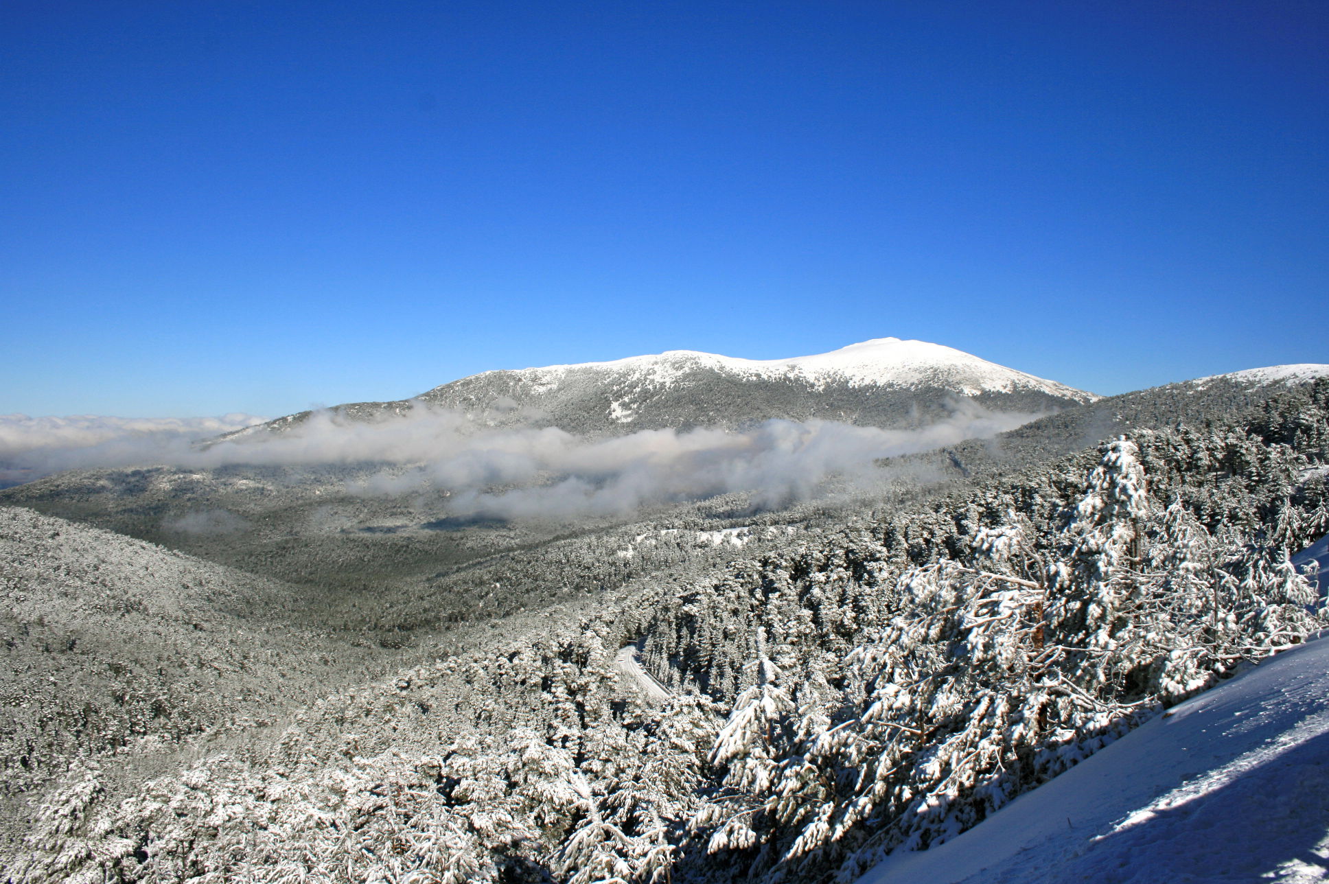 Puerto de Navacerrada, por Sonia Campos