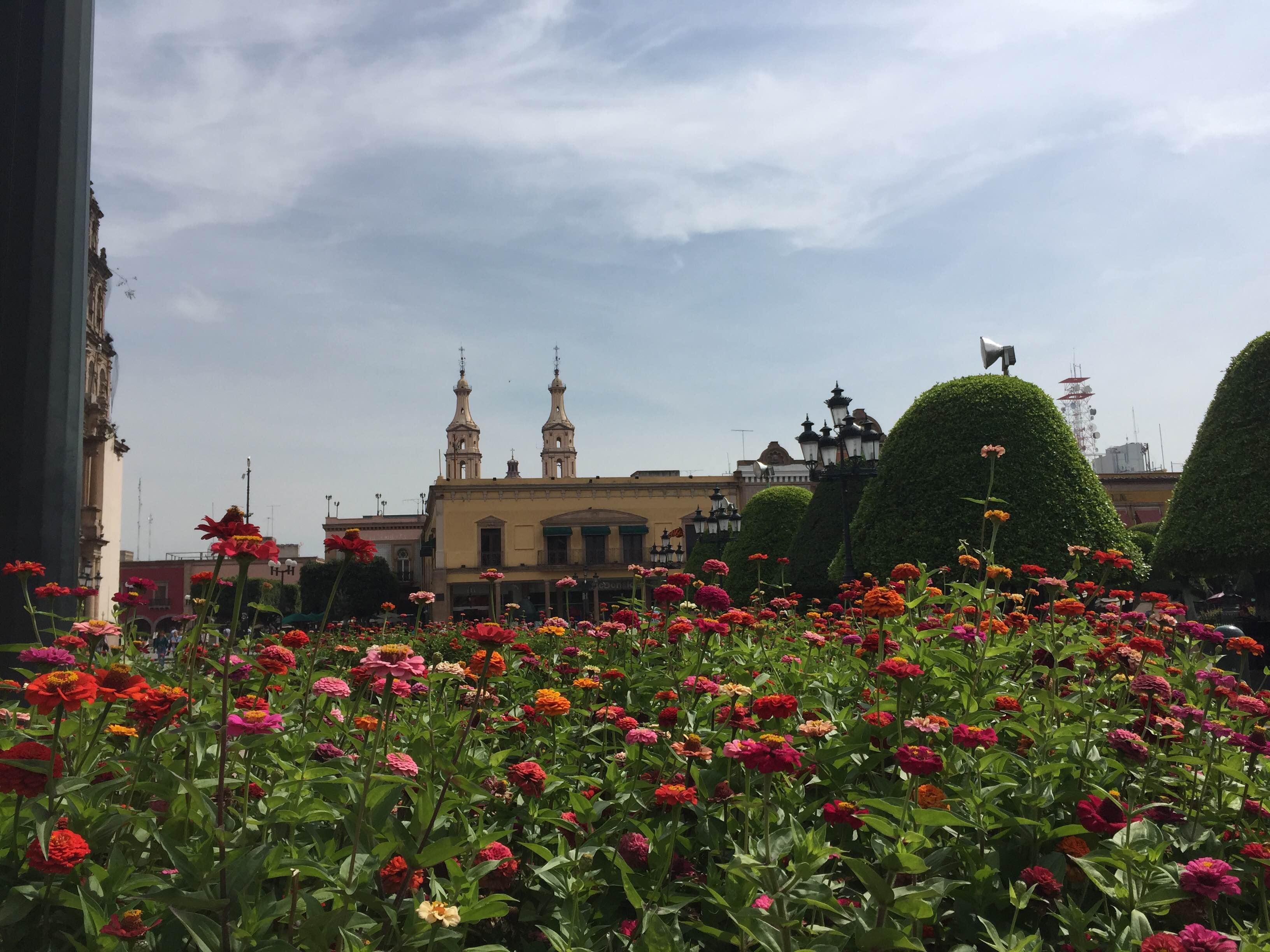 Centro León, por Darío Castro