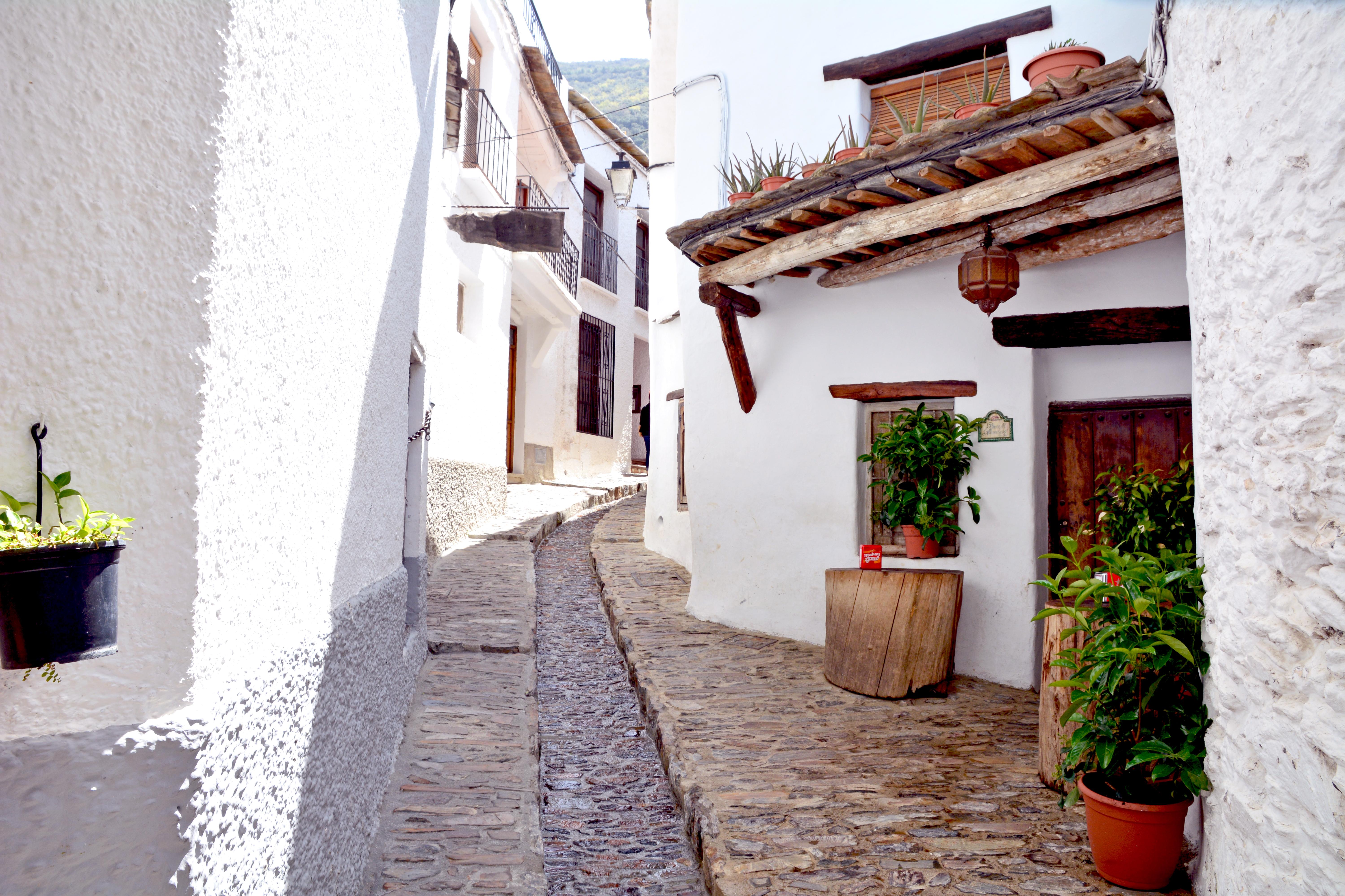 Bodegas en Granada donde el vino cuenta historias únicas