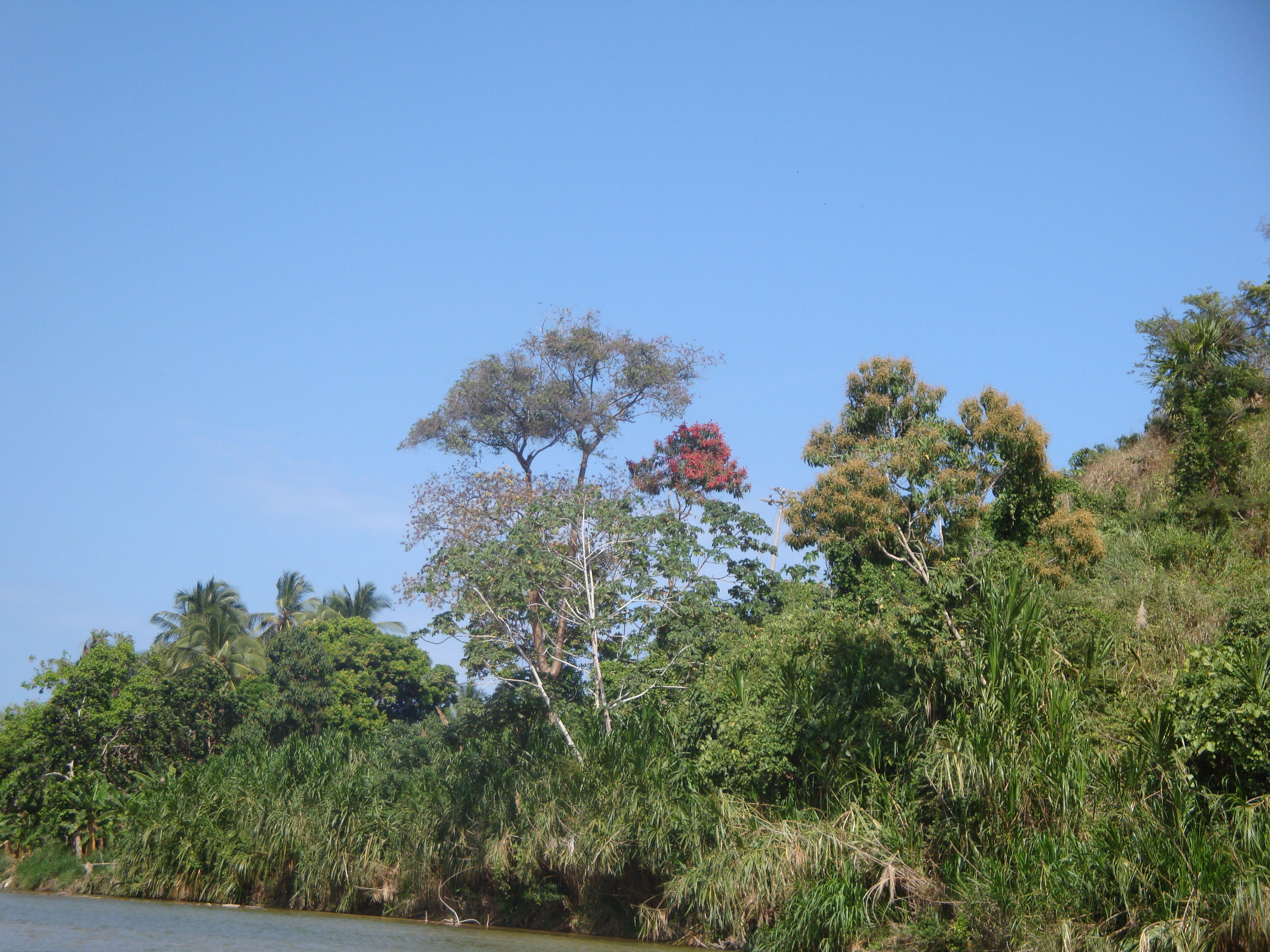 Río Palomino, por Sabine Isambert