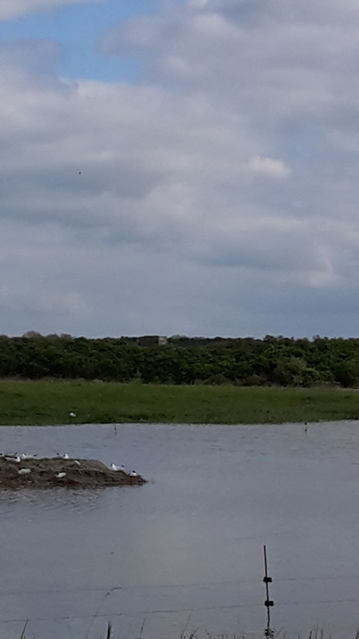 Parque ornitólogico de Marquenterre, por br jo