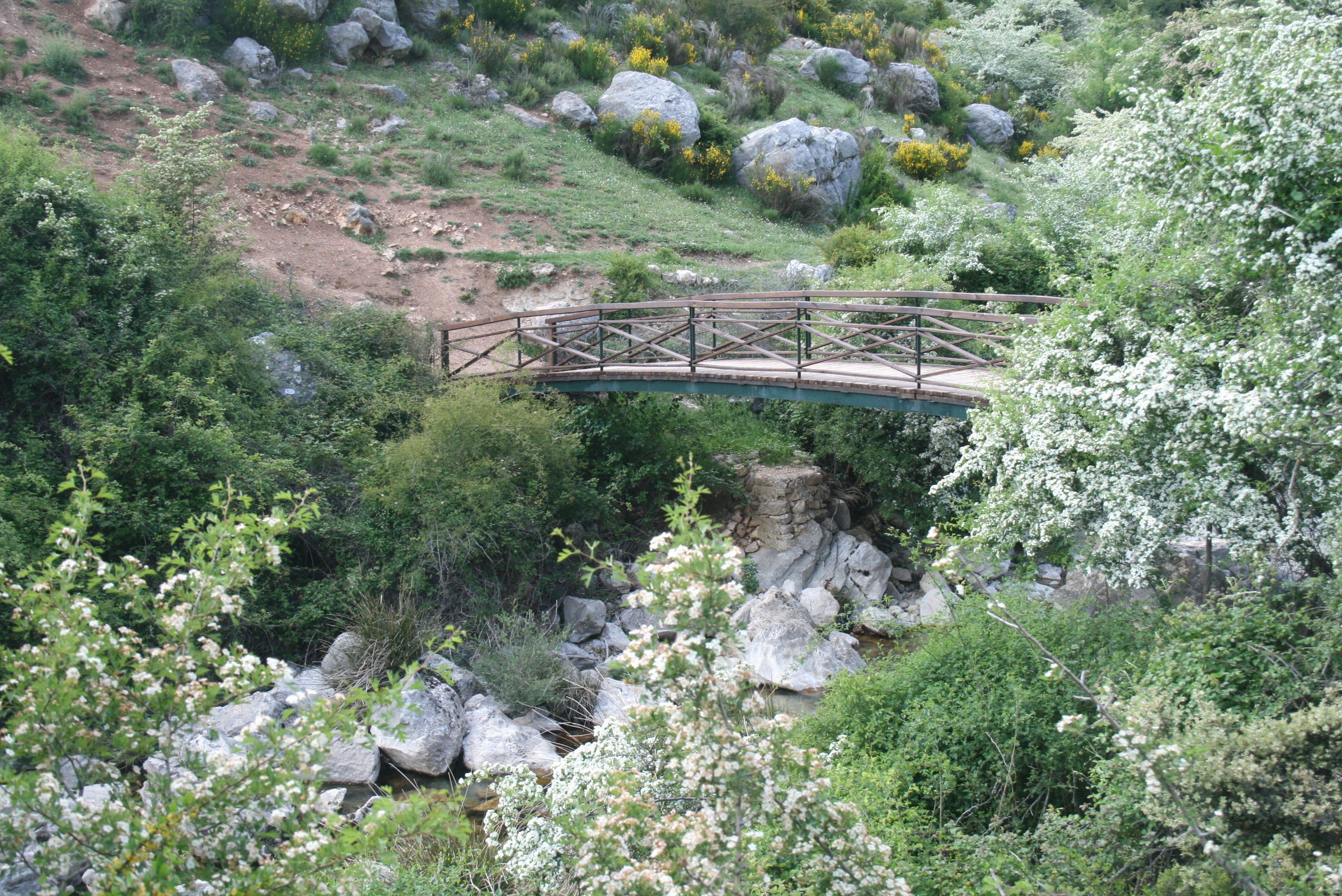 Nacimiento del rio Castril, por macmuseo