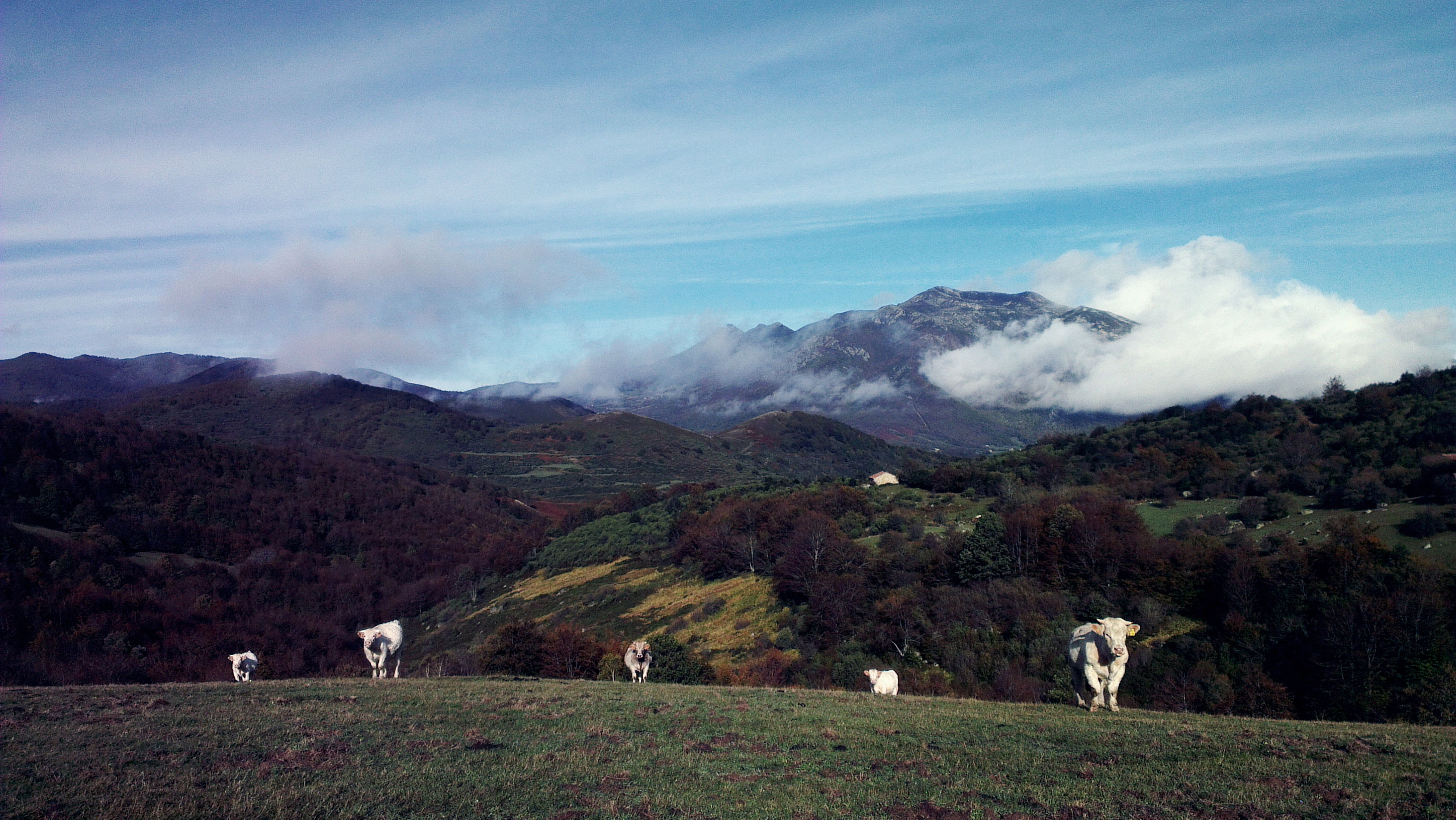 Valle de Polaciones: Cantabria encantada, por Silvia Movellán Viaña
