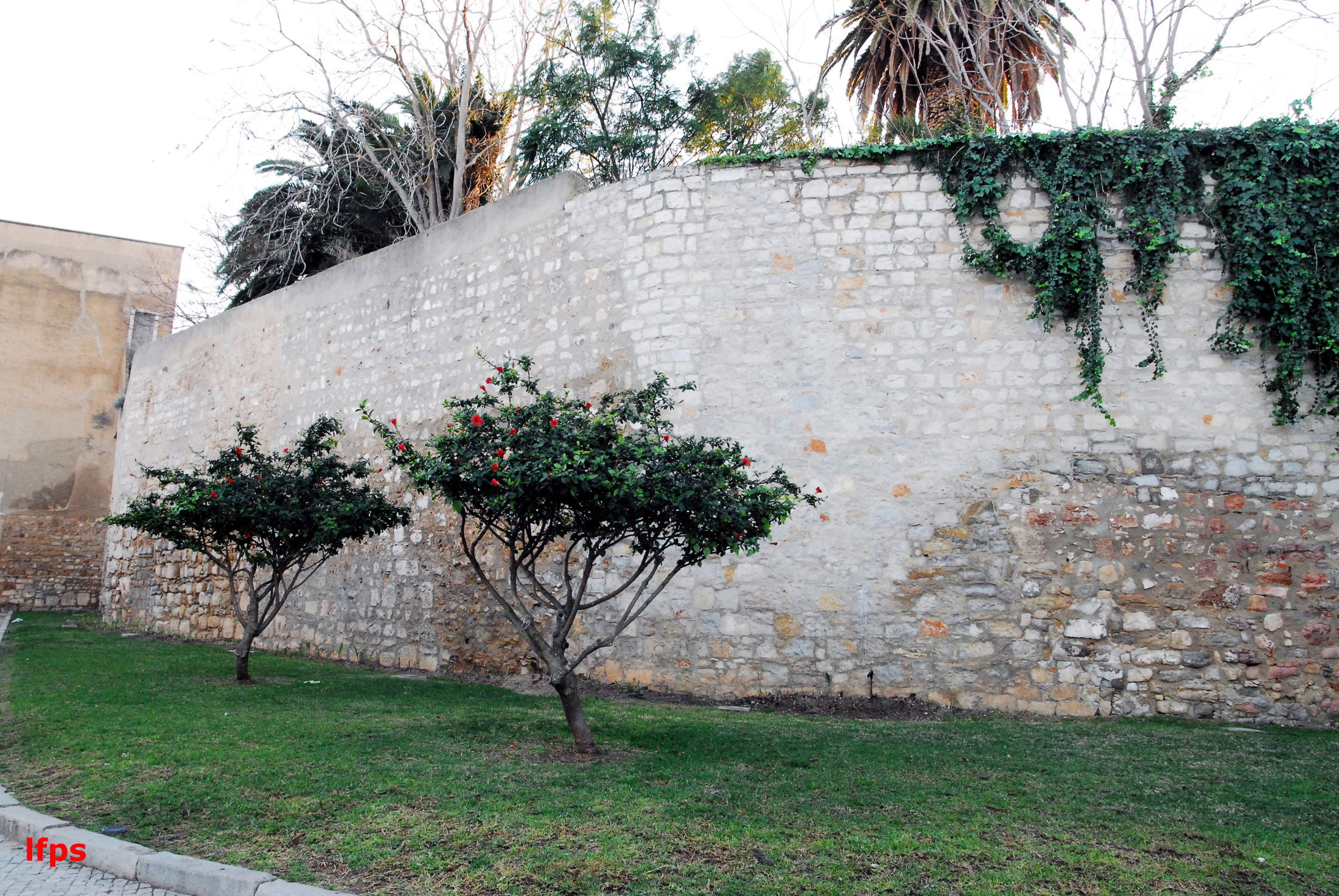 Barrio de Vila-Adentro, por luisfernando