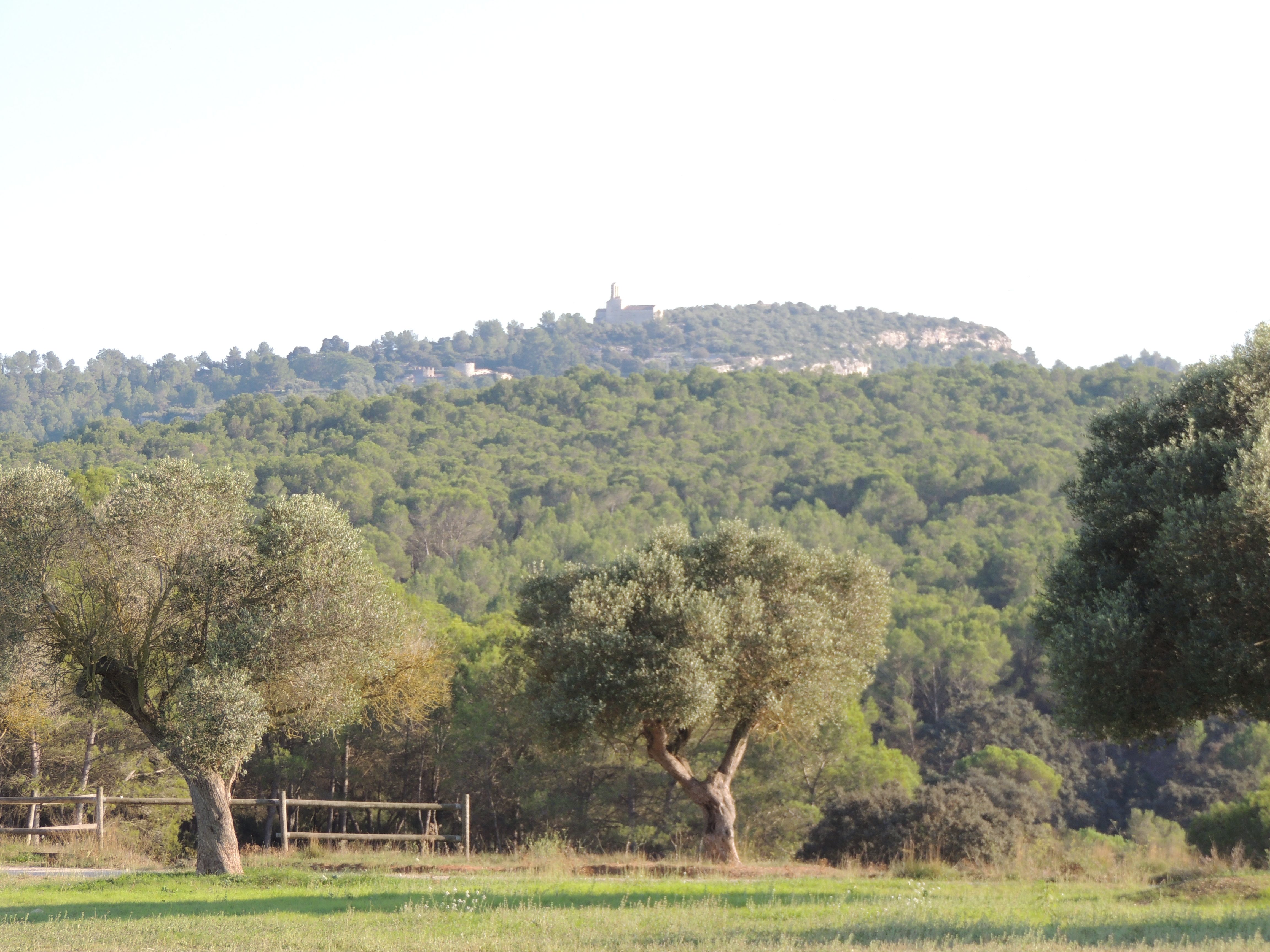 Parc de la Muntanyeta, por Dónde vamos Eva