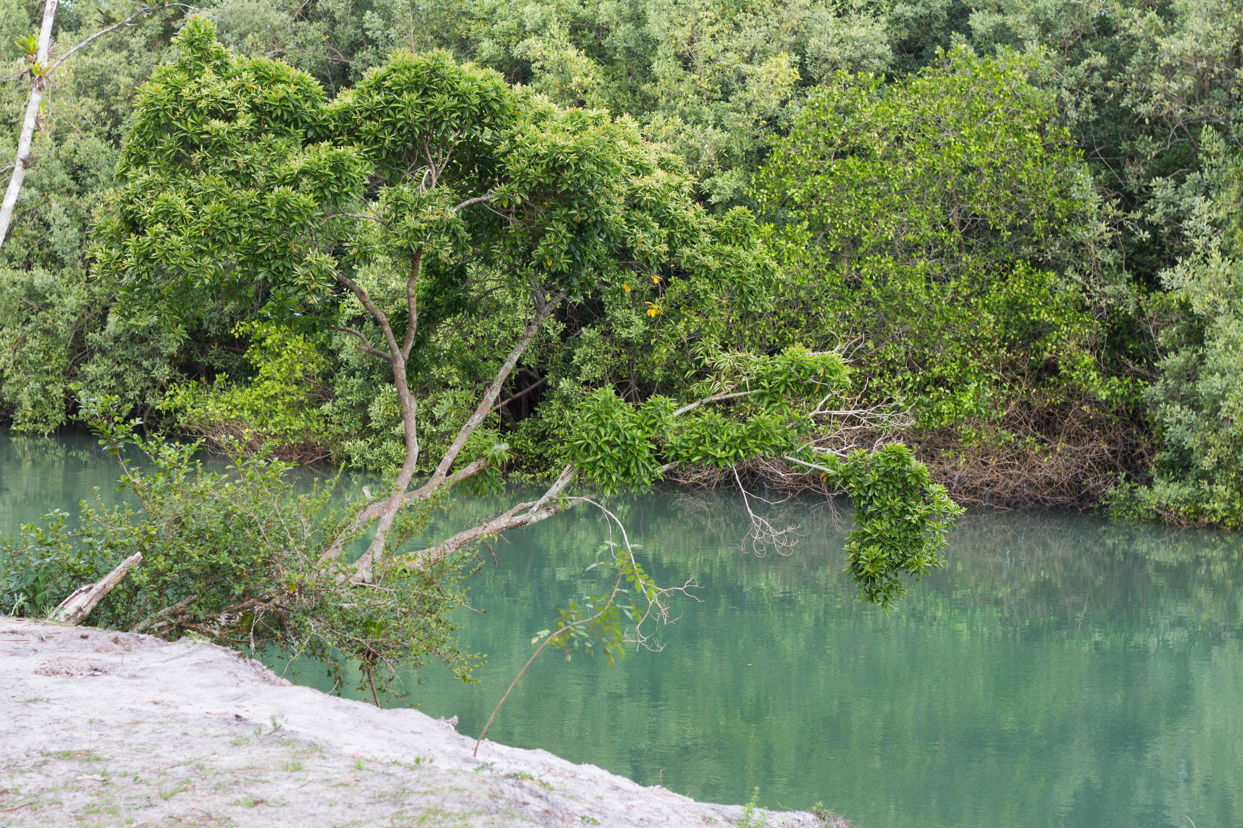 Aire libre de Itapema, un paraíso de naturaleza y aventura