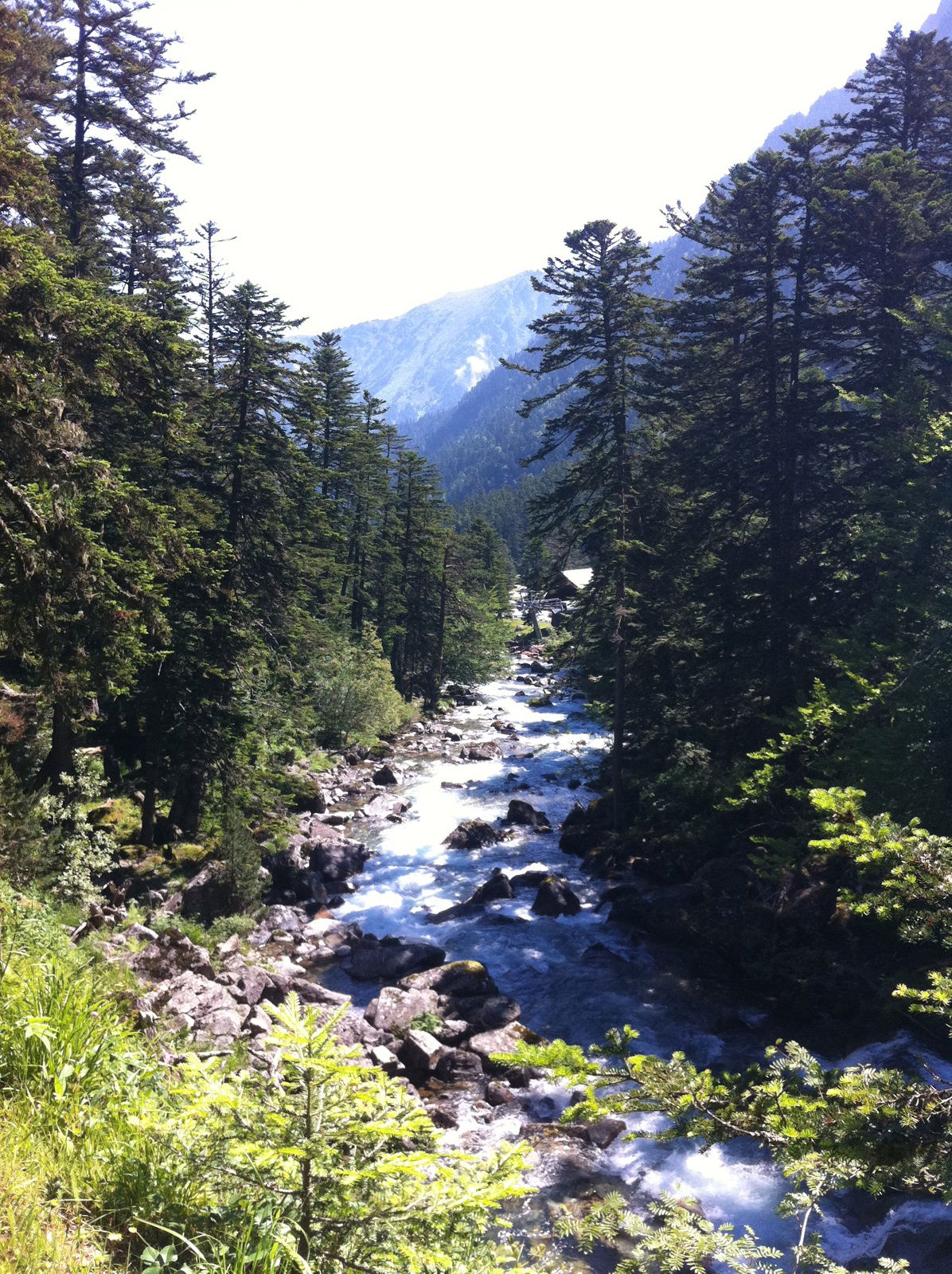 Cauterets, por phil