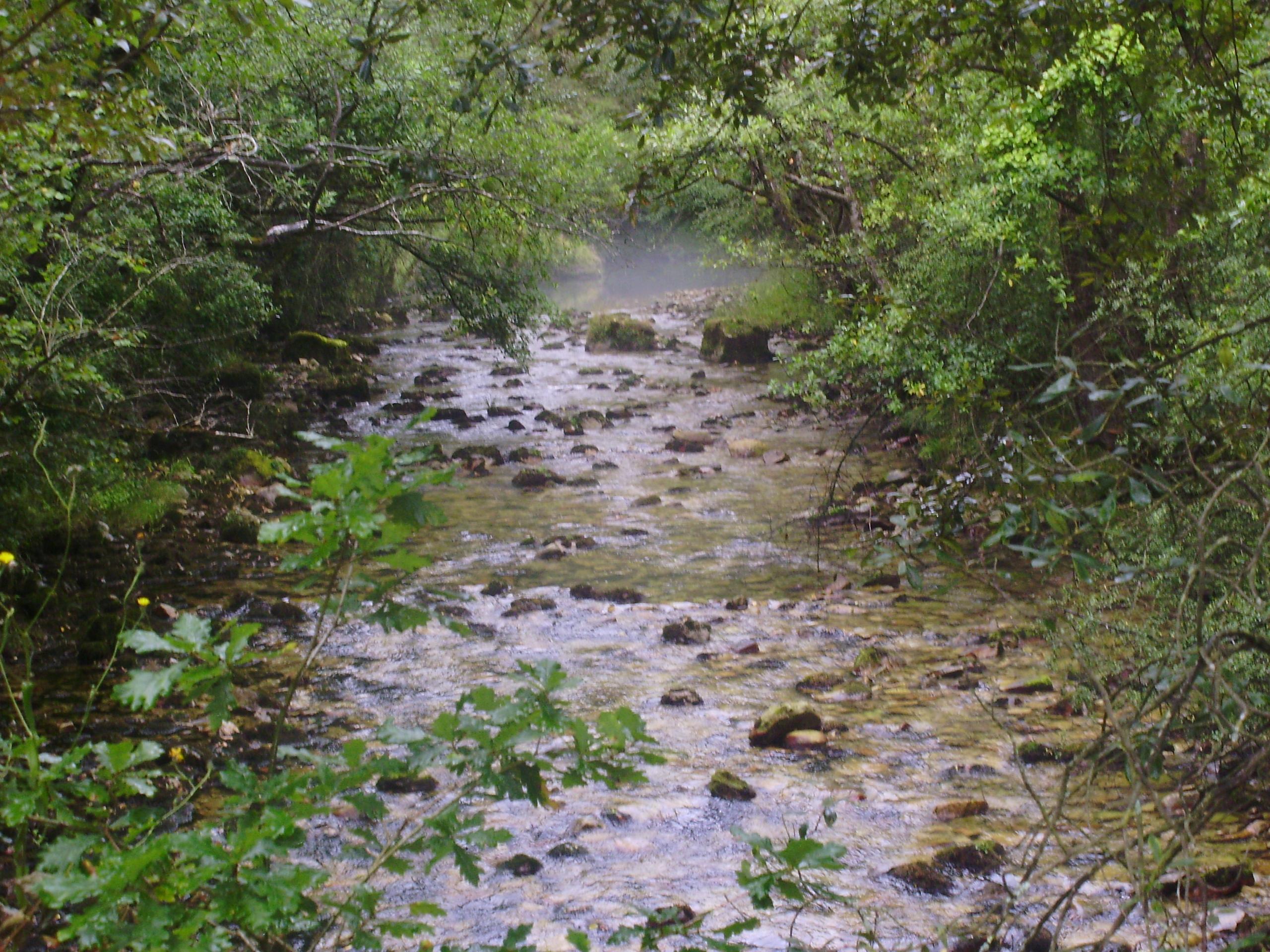 Ruta del Río Purón, por Carlos