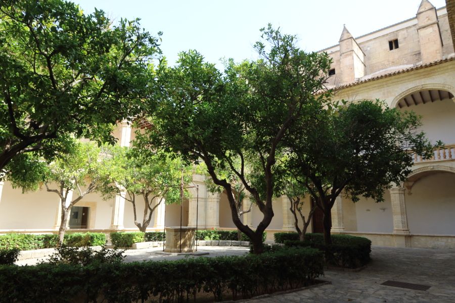 Claustro de San Vicente, por ANADEL