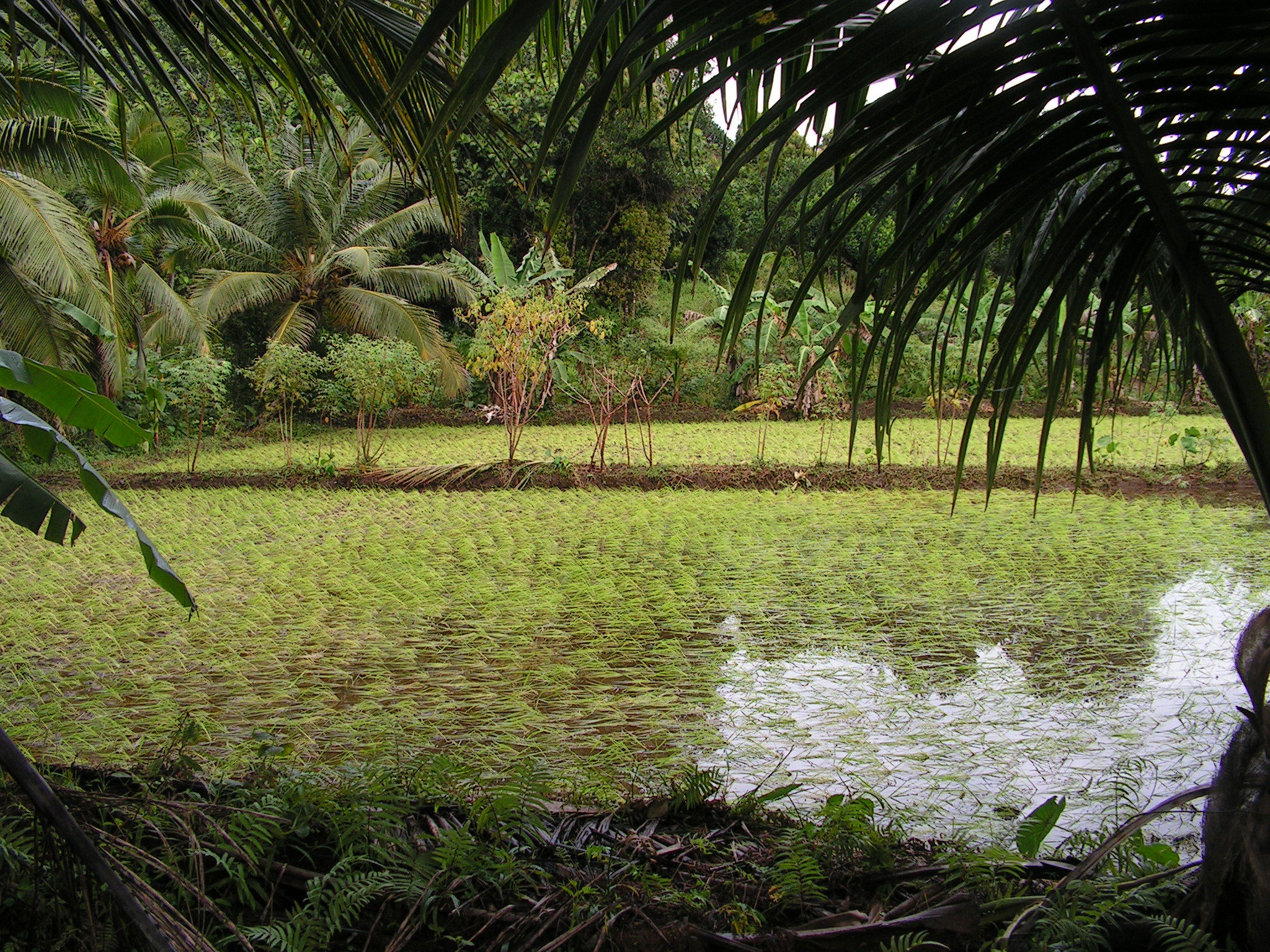 Isla Santa Maria, por martine deveaux