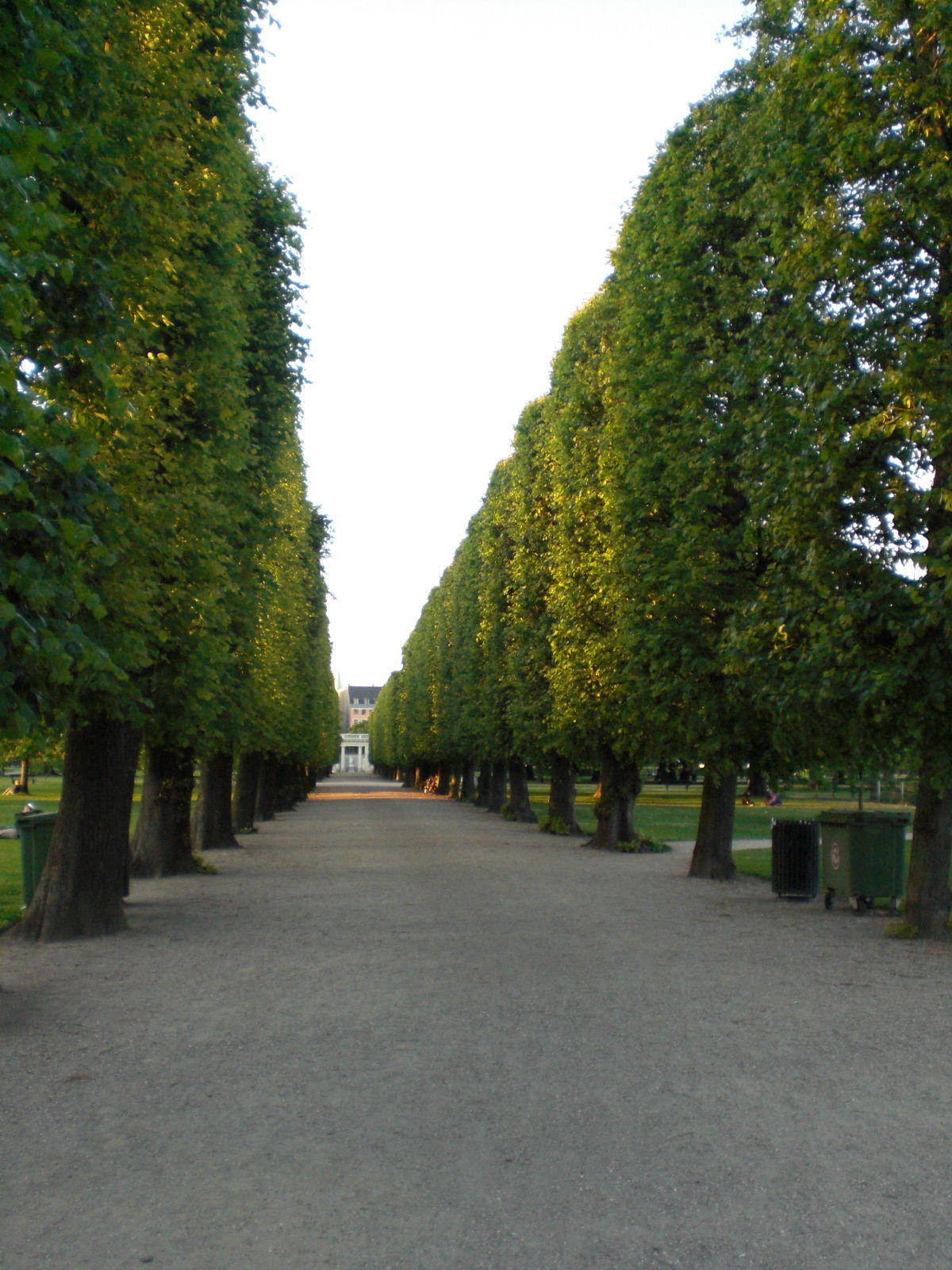 Kongens Have, por guanche