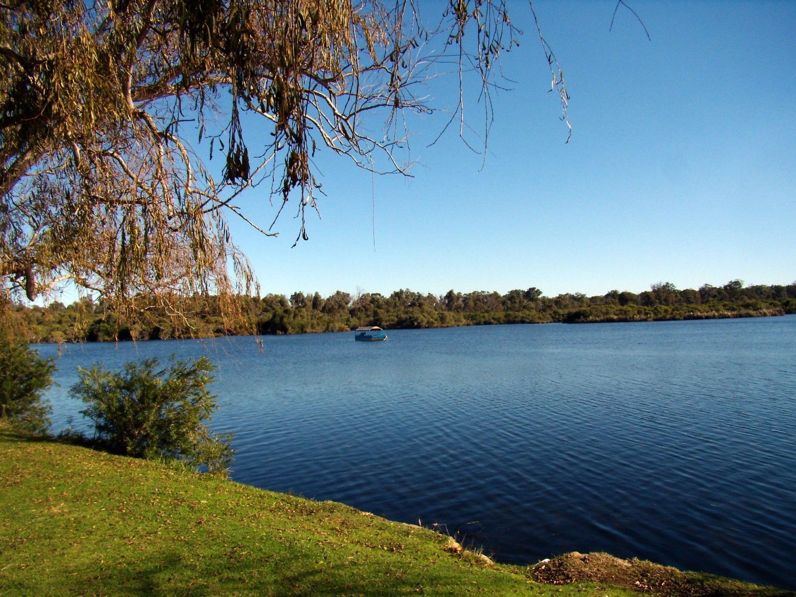 Parque Nacional Yanchep, por macgreg