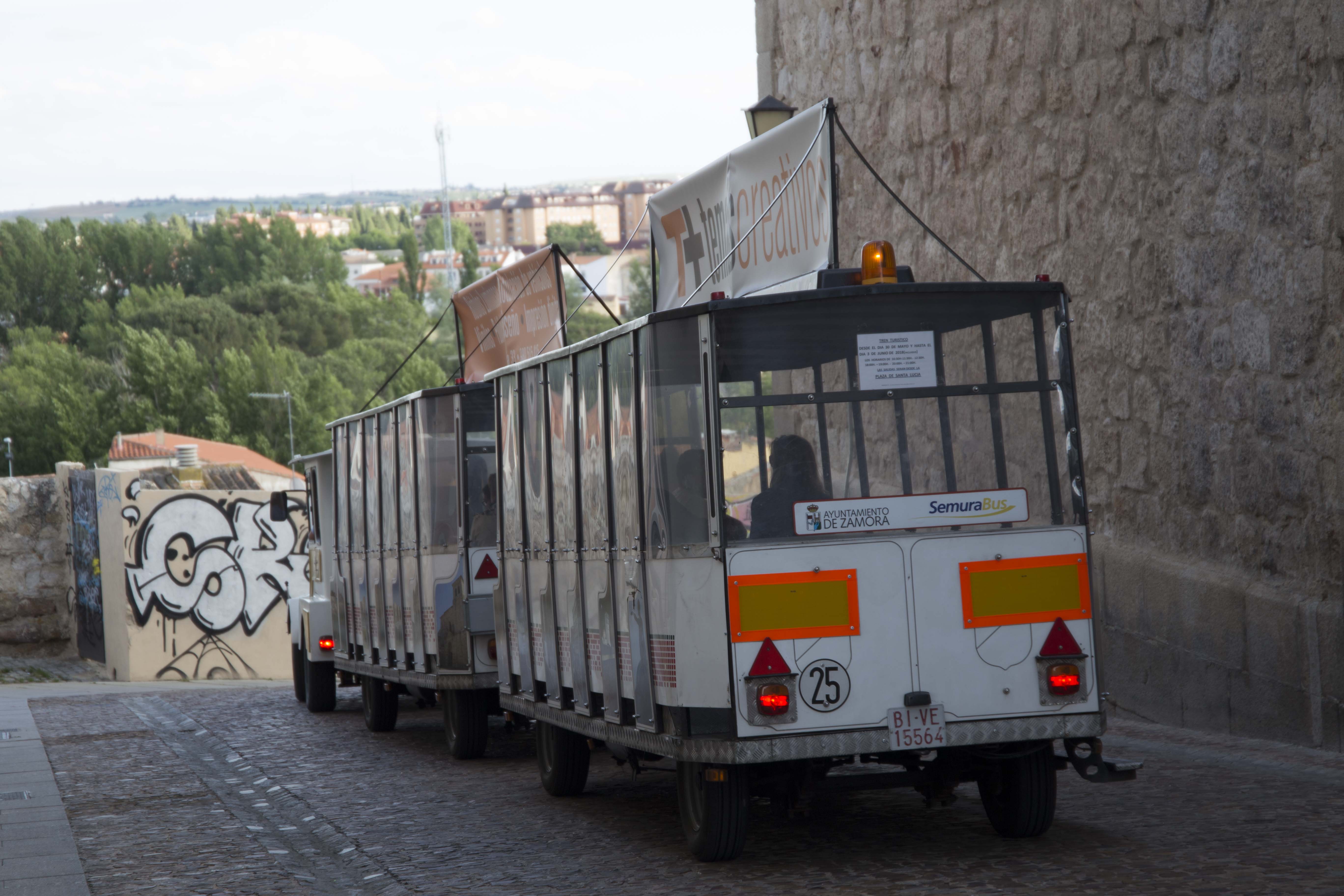 Tren turístico de Zamora, por ANADEL
