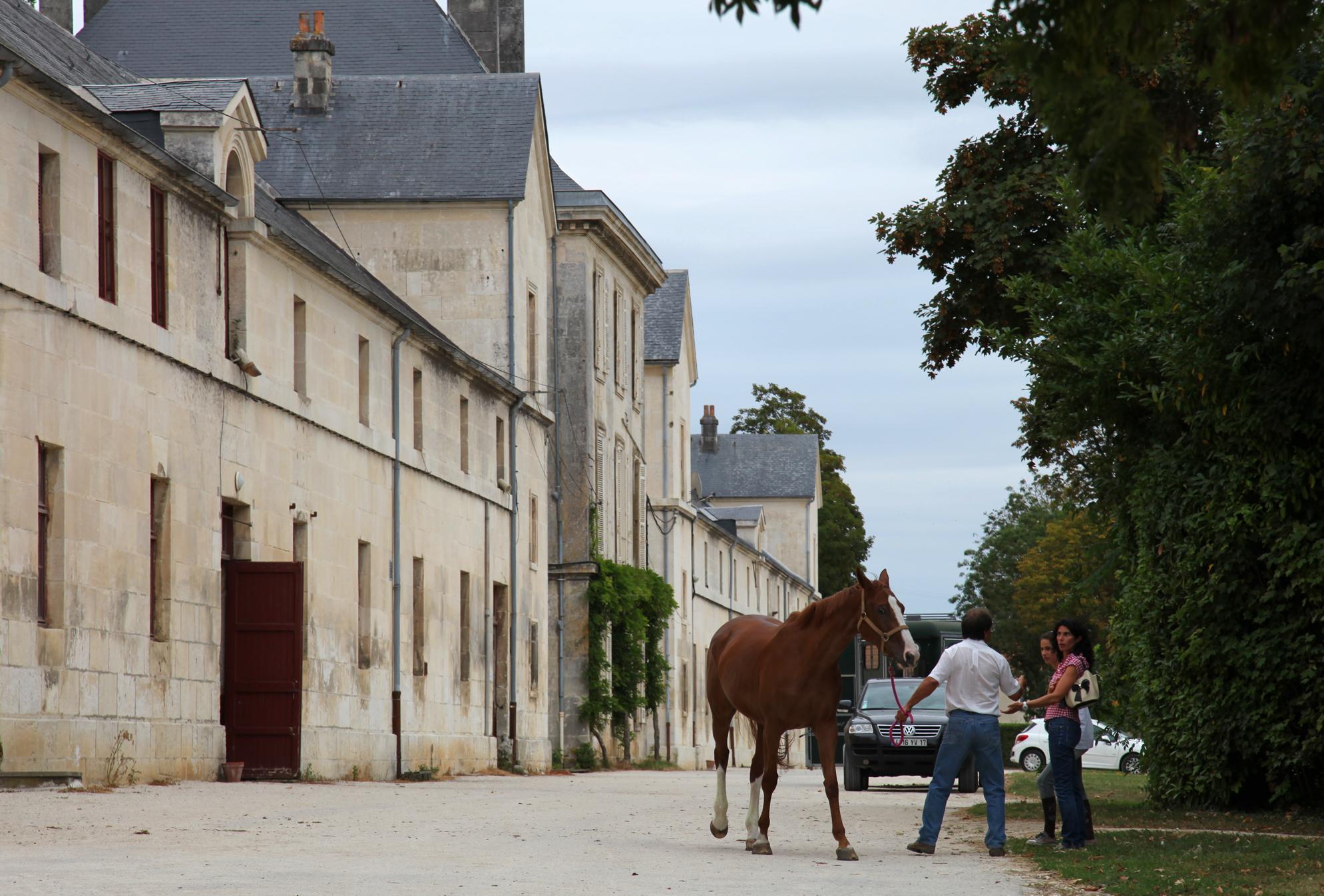 Haras national, por GERARD DECQ