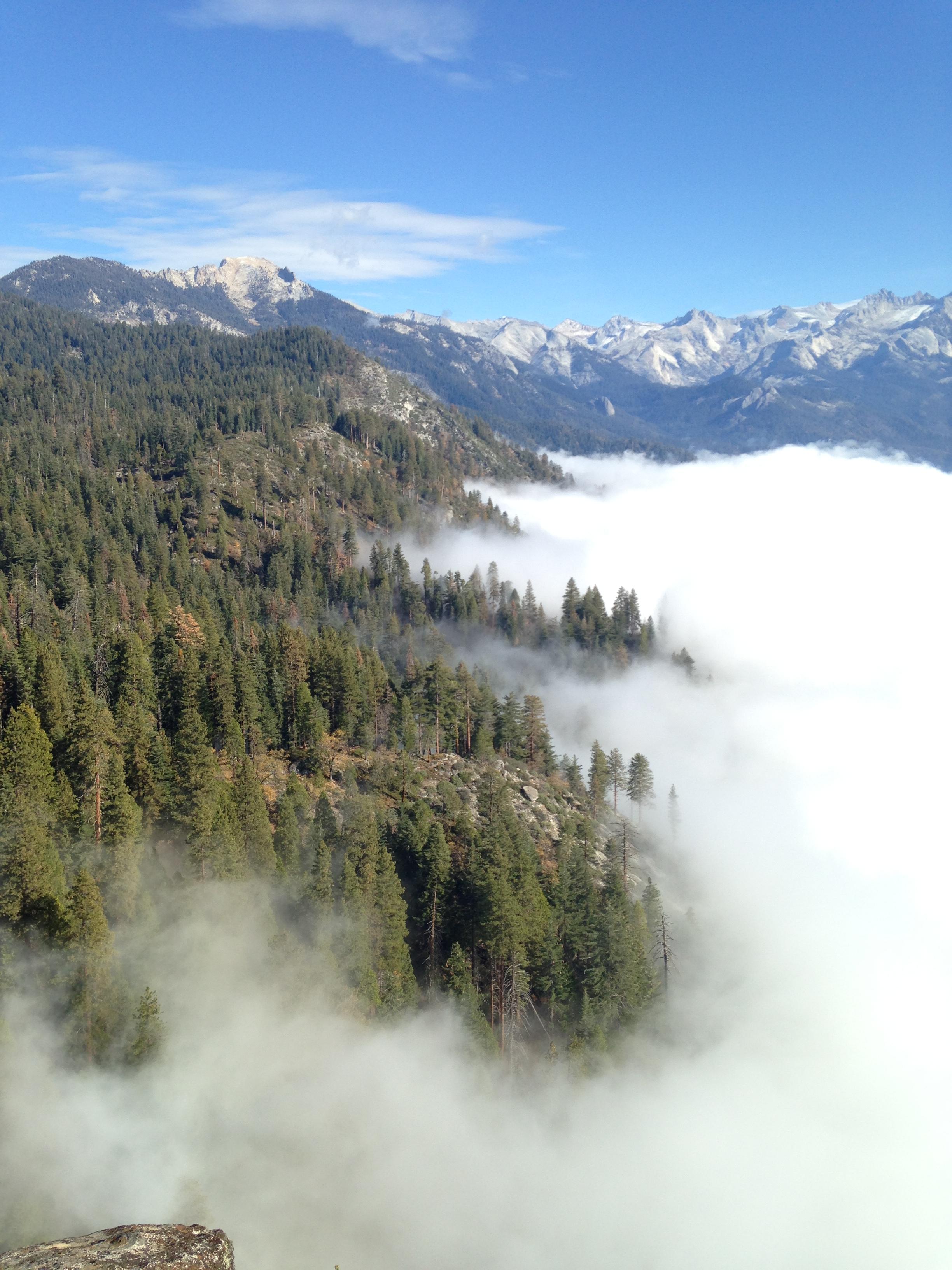 Sequoia National Park, por Ixia