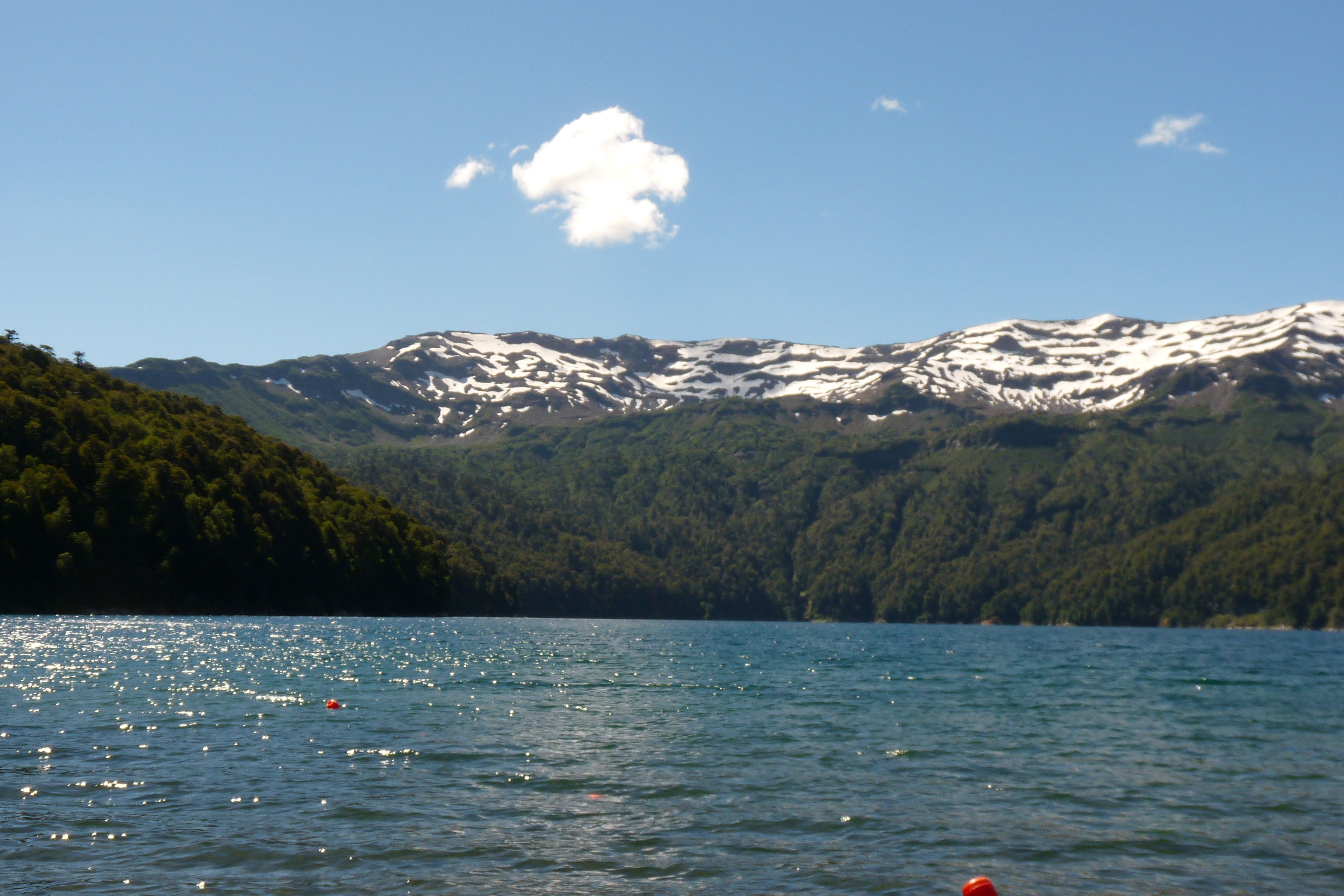 Lago Conguillio, por Pablo Olivera 