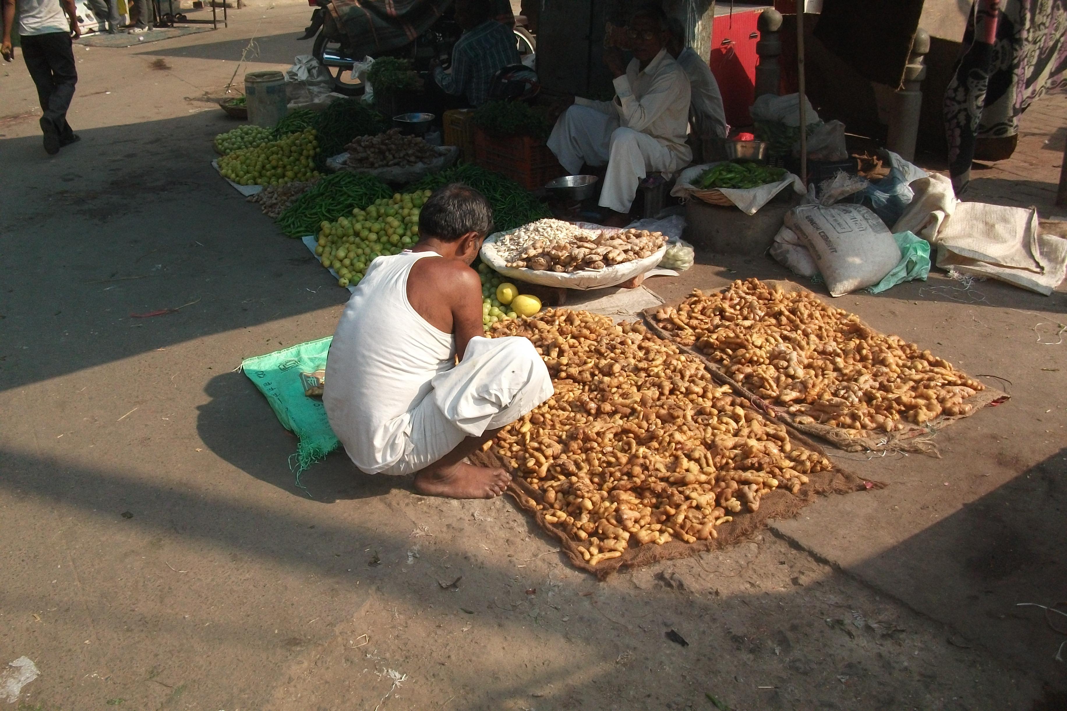 Rutas en Nueva Delhi: descubre los barrios y senderos imperdibles