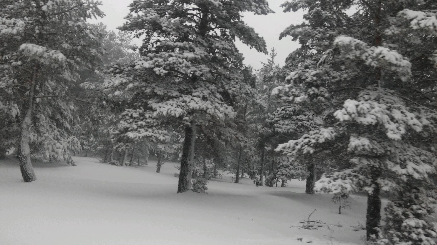 Sierra de Gúdar, por amparo moliner ciurana