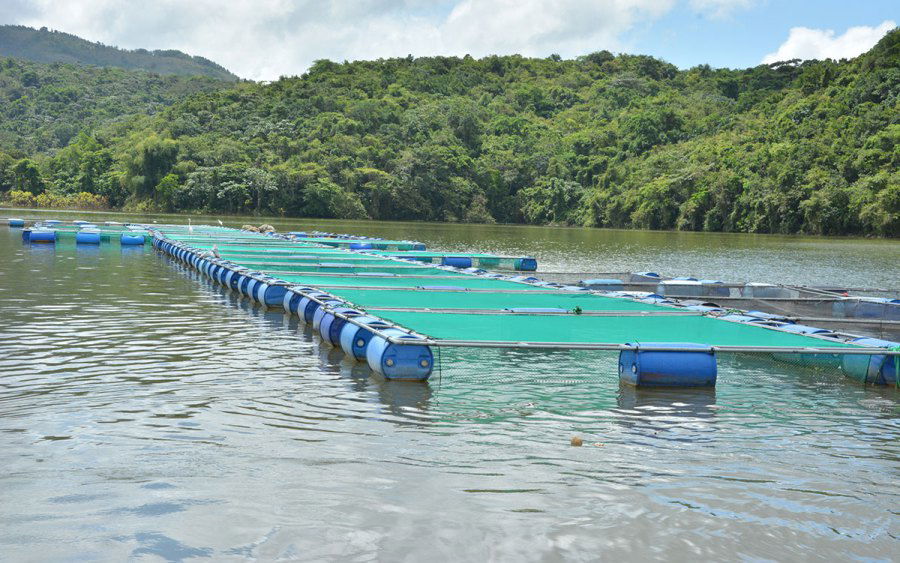 Lago de Hatillo, por Centro de la Cultura y Progreso Cotuí