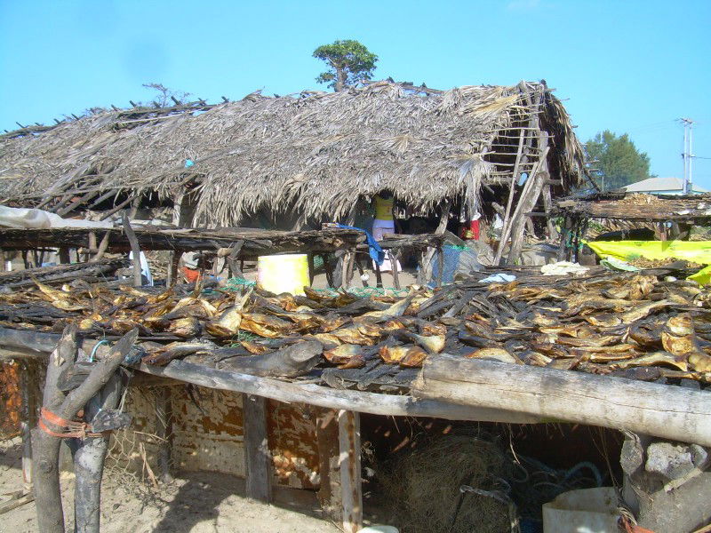 Mercado de Brufut, por mmozamiz