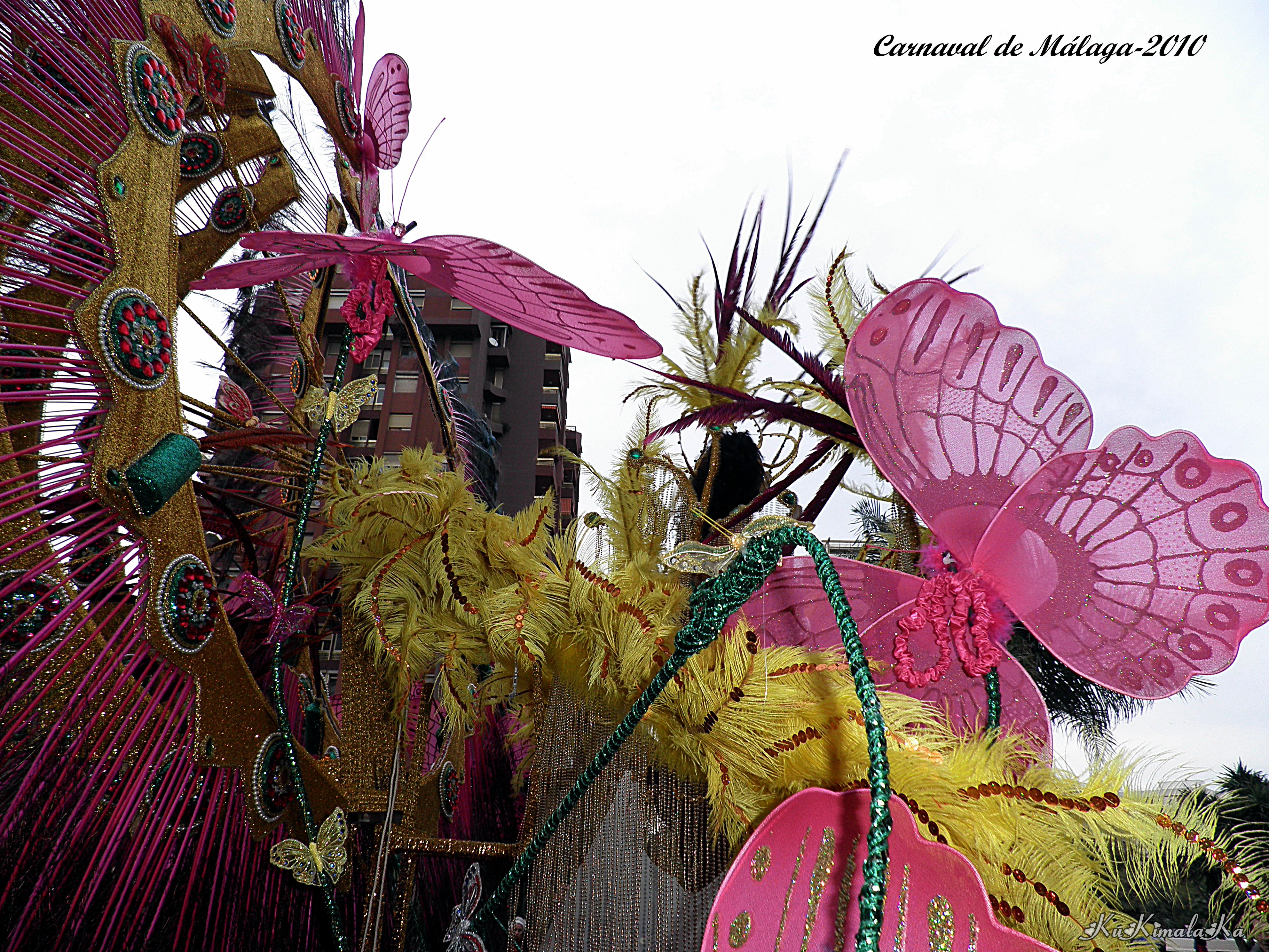 Gran Desfile de Carnaval de Málaga, por María del Carmen Fernández Milanés