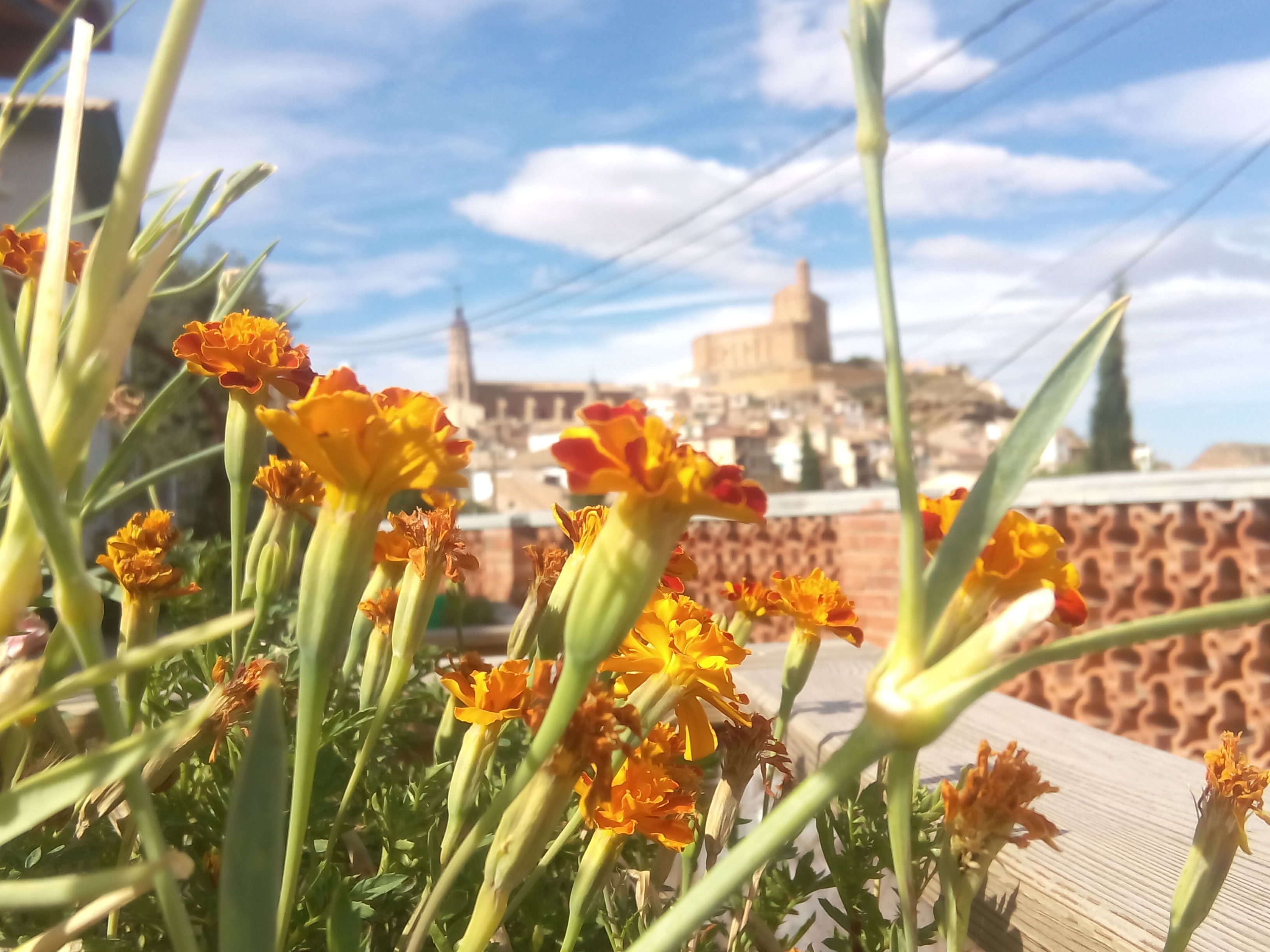 Pueblos de Bajo Martín: un viaje por su historia y encanto