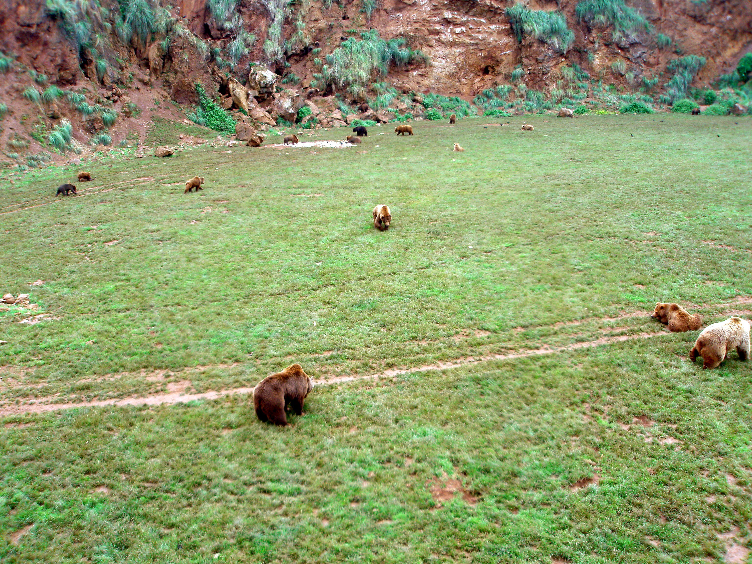 Parque de la Naturaleza de Cabárceno, por Joxu