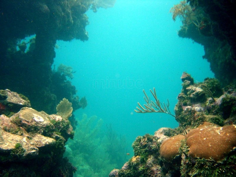 Buceo en Utila, por paulinette