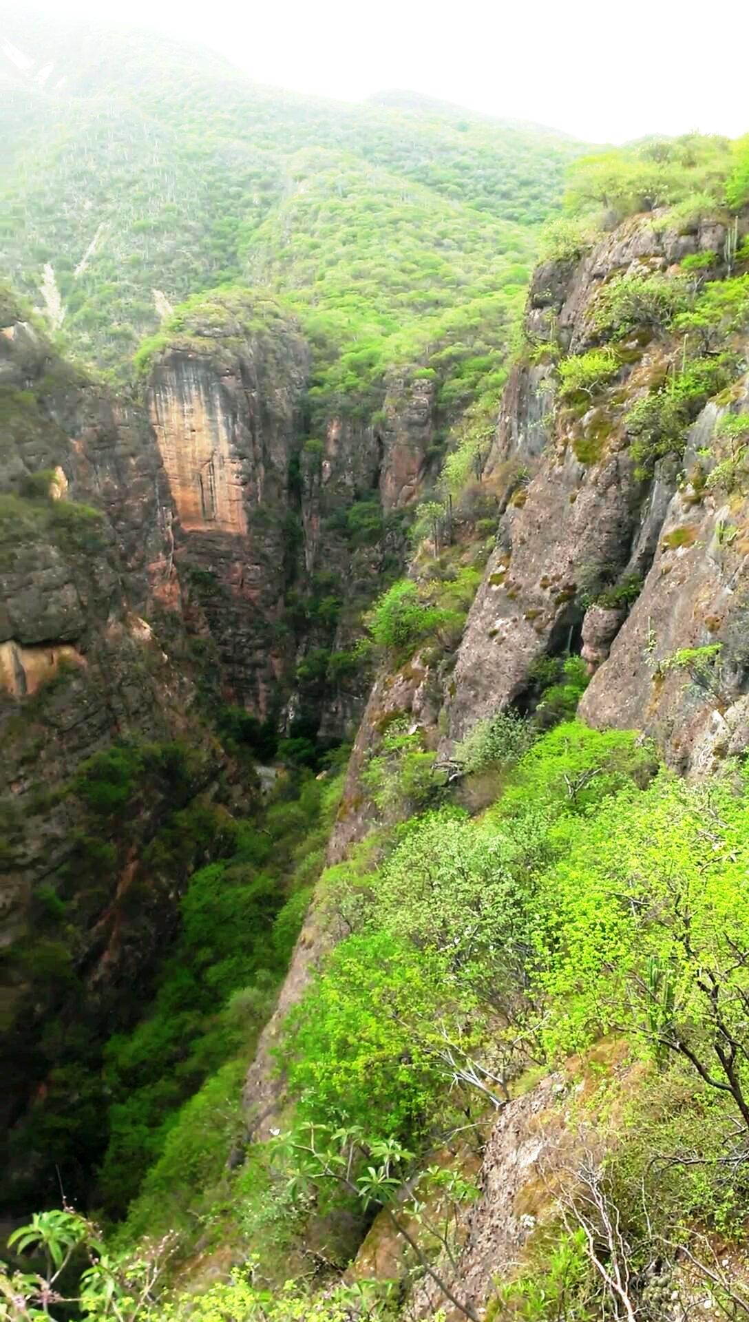 Reserva de la Biosfera Tehuacán- Cuicatlán, por Beatriz Rivera Martinez