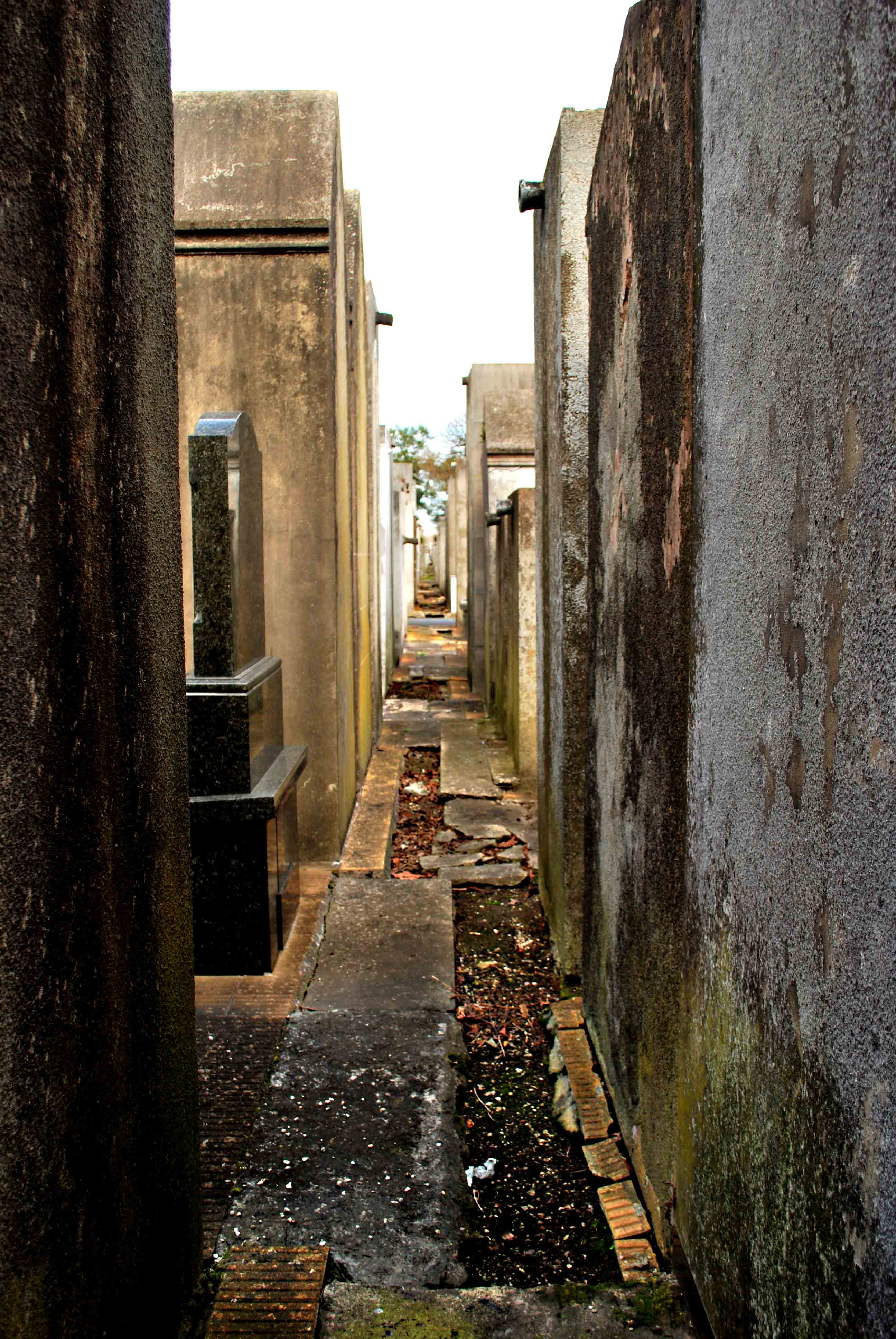 Cementerio de La Plata, por luli