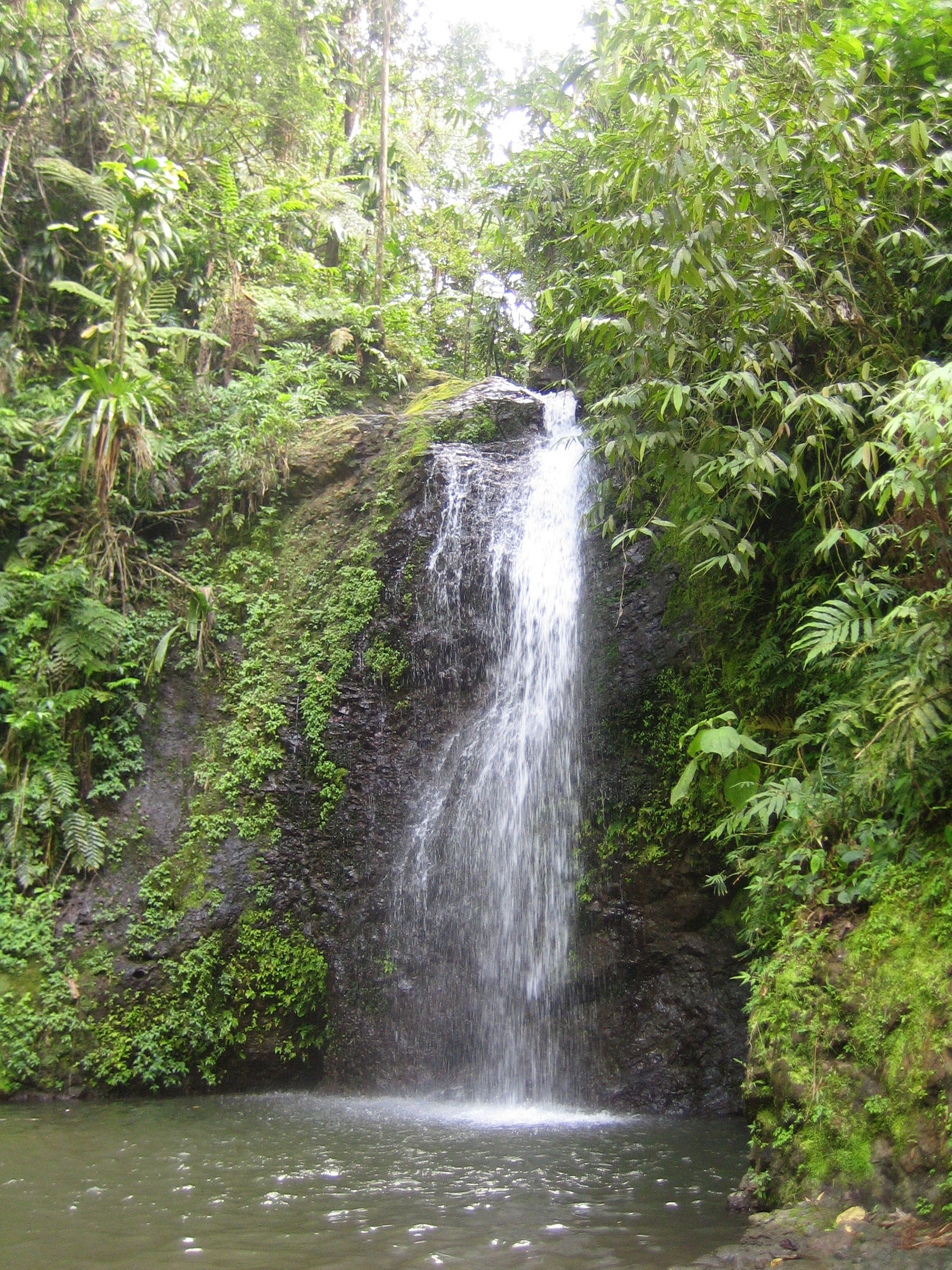 Saut gendarme, por sandydidi