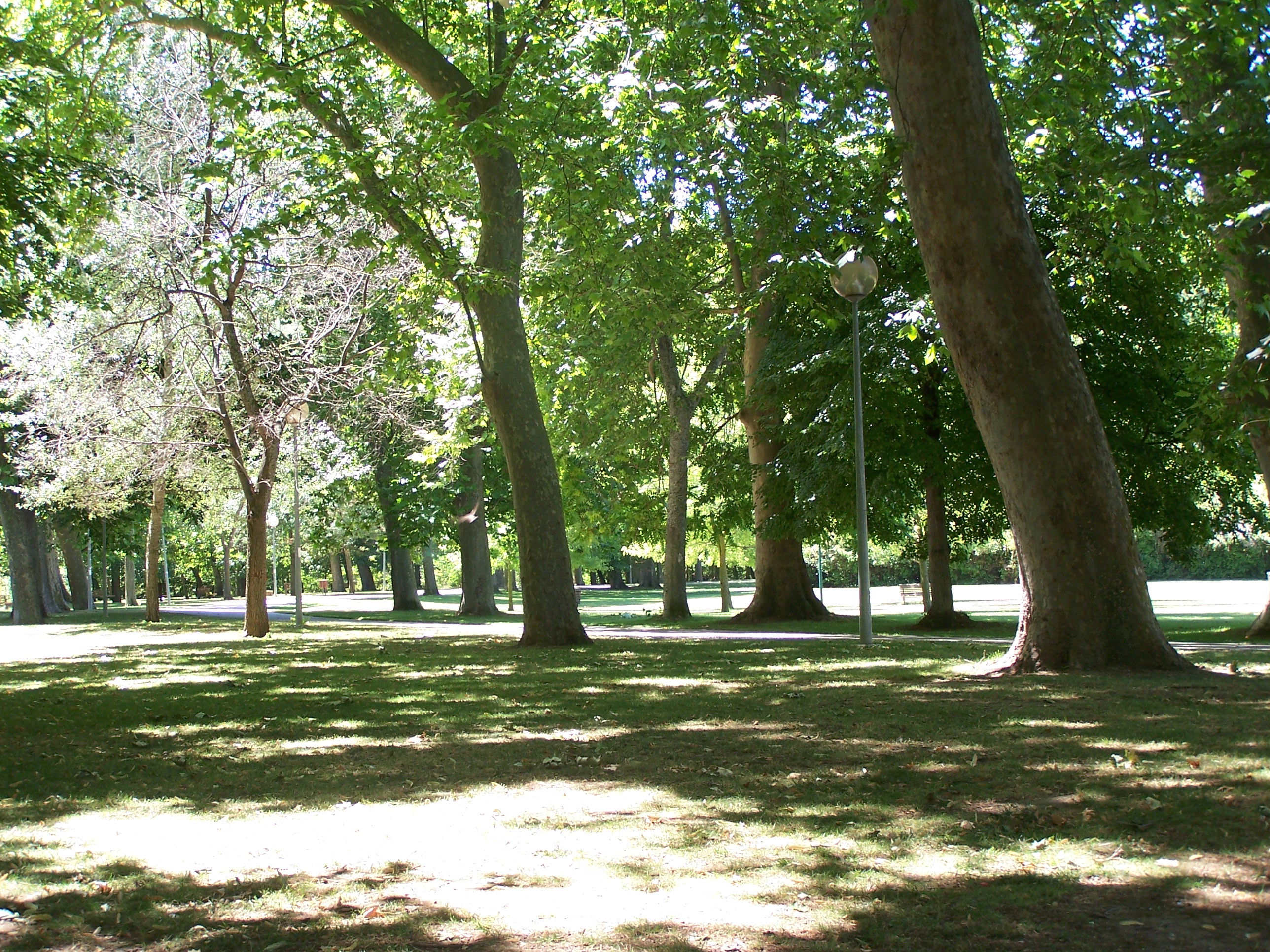 Parque Los Llanos, por Turiscapadas