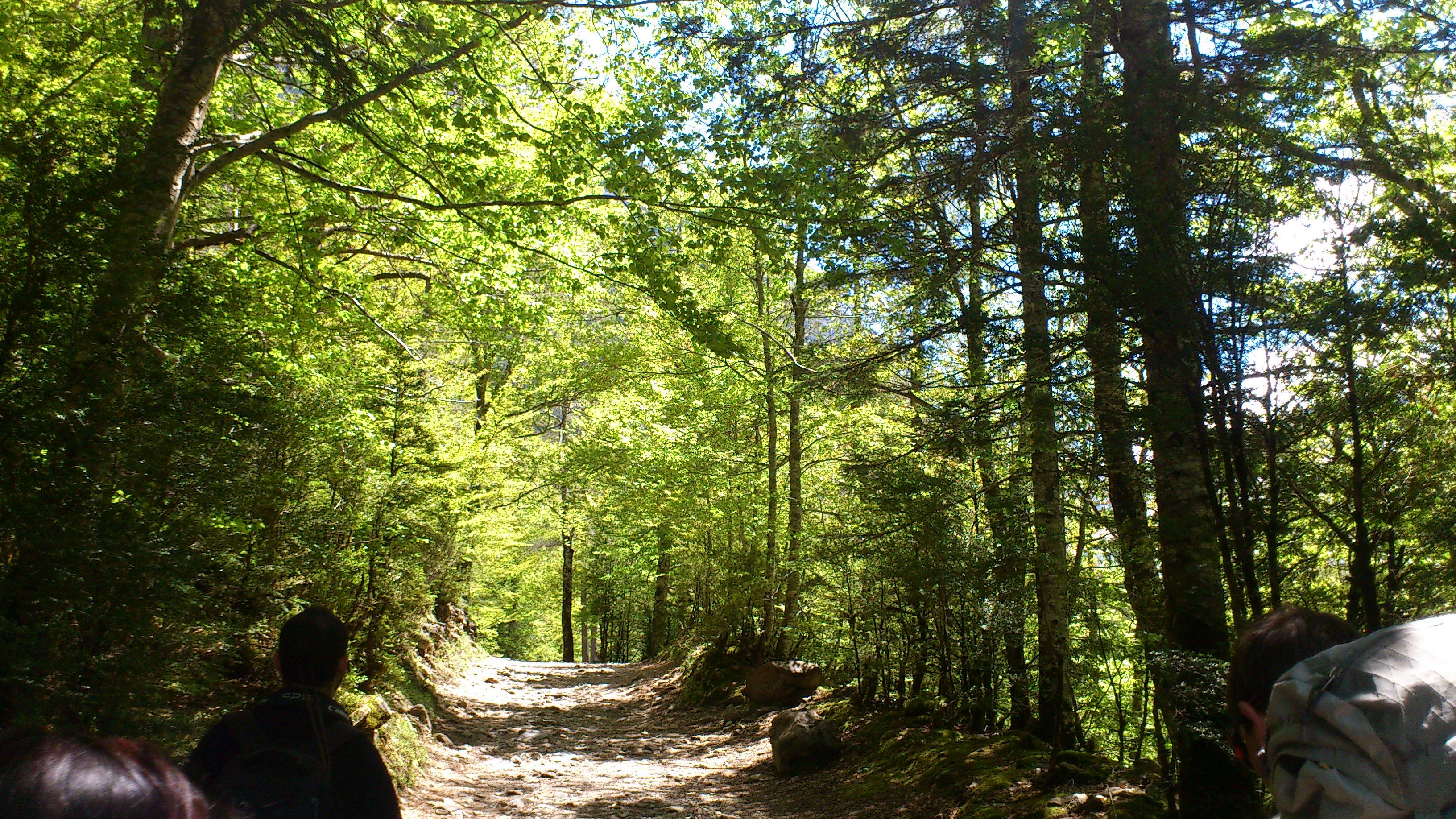 Ruta de las cascadas de Ordesa, por Ignacio Izquierdo