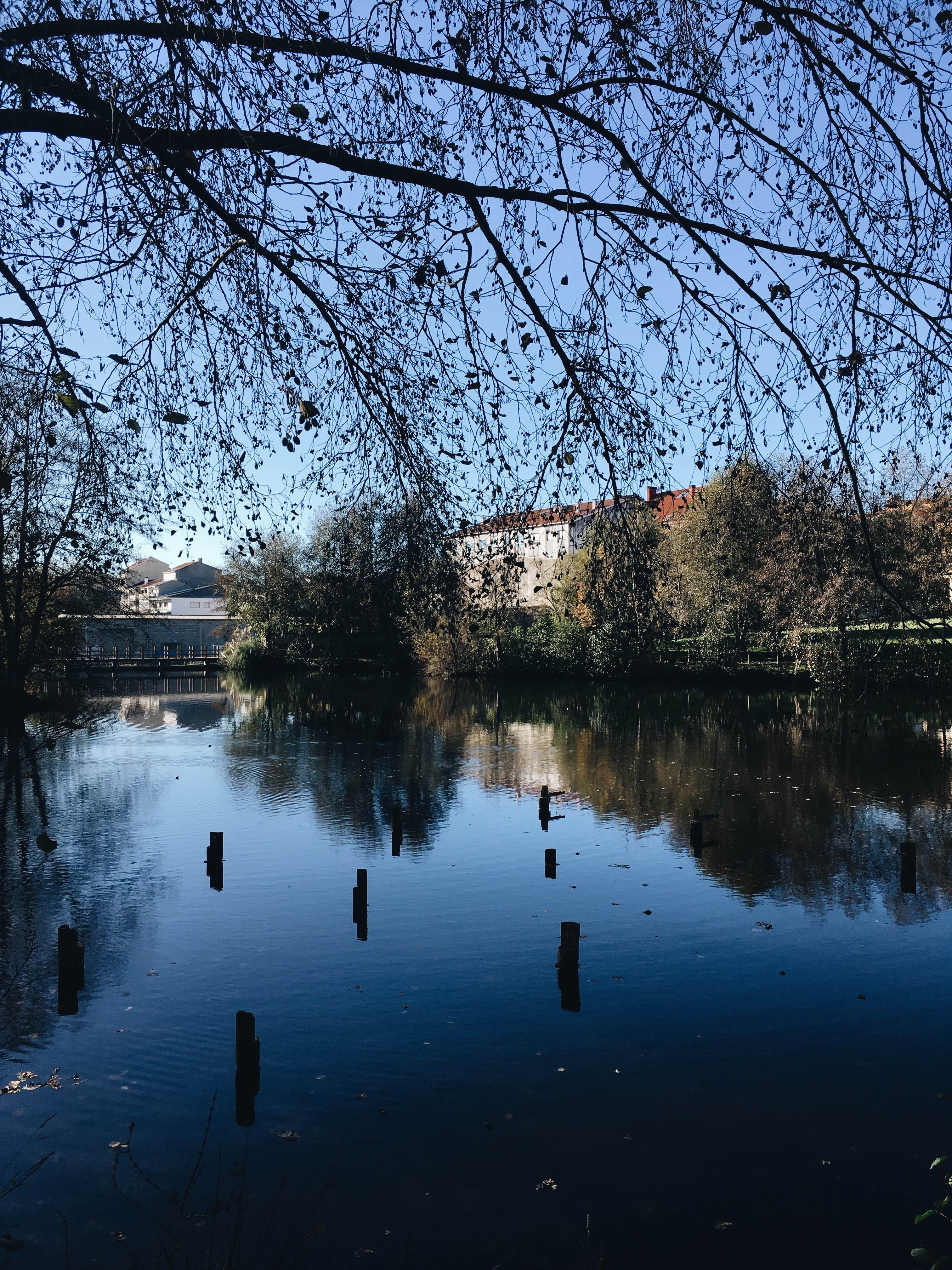 Parque del Pontiñas, por Yamil Doval Dios