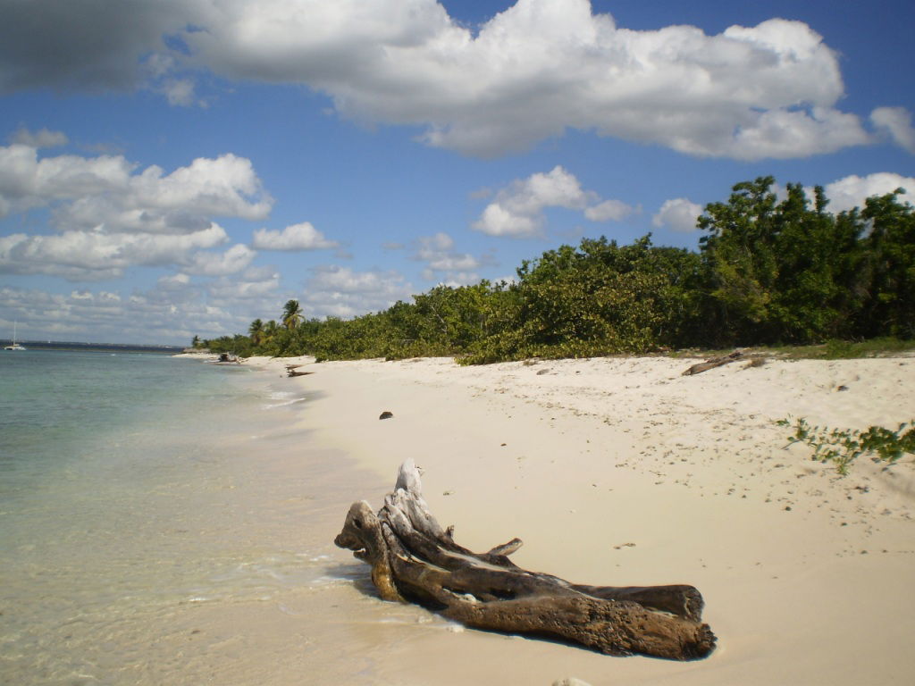 Playa del Oeste (Isla Catalina), por Lala